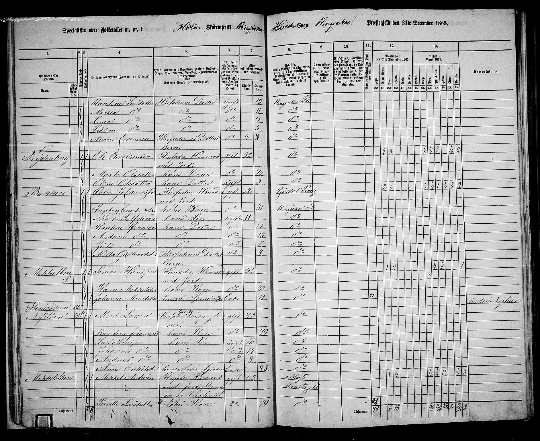 RA, 1865 census for Ringsaker, 1865, p. 42