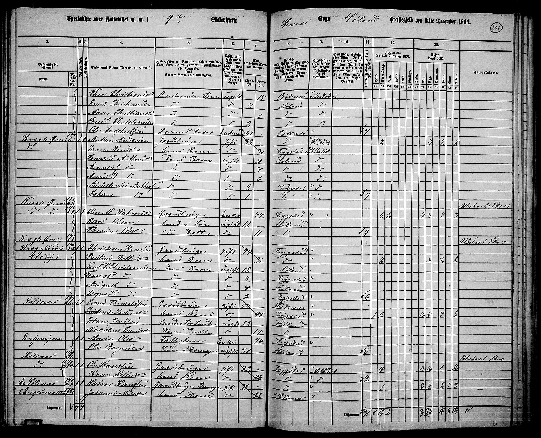 RA, 1865 census for Høland, 1865, p. 186