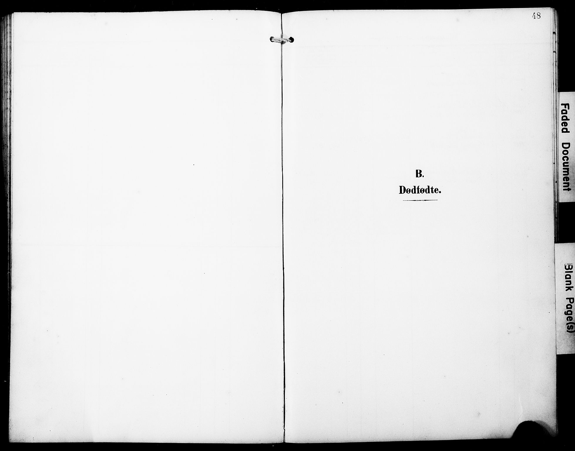 Austevoll sokneprestembete, AV/SAB-A-74201/H/Ha/Hab/Habb/L0005: Parish register (copy) no. B 5, 1902-1910, p. 48