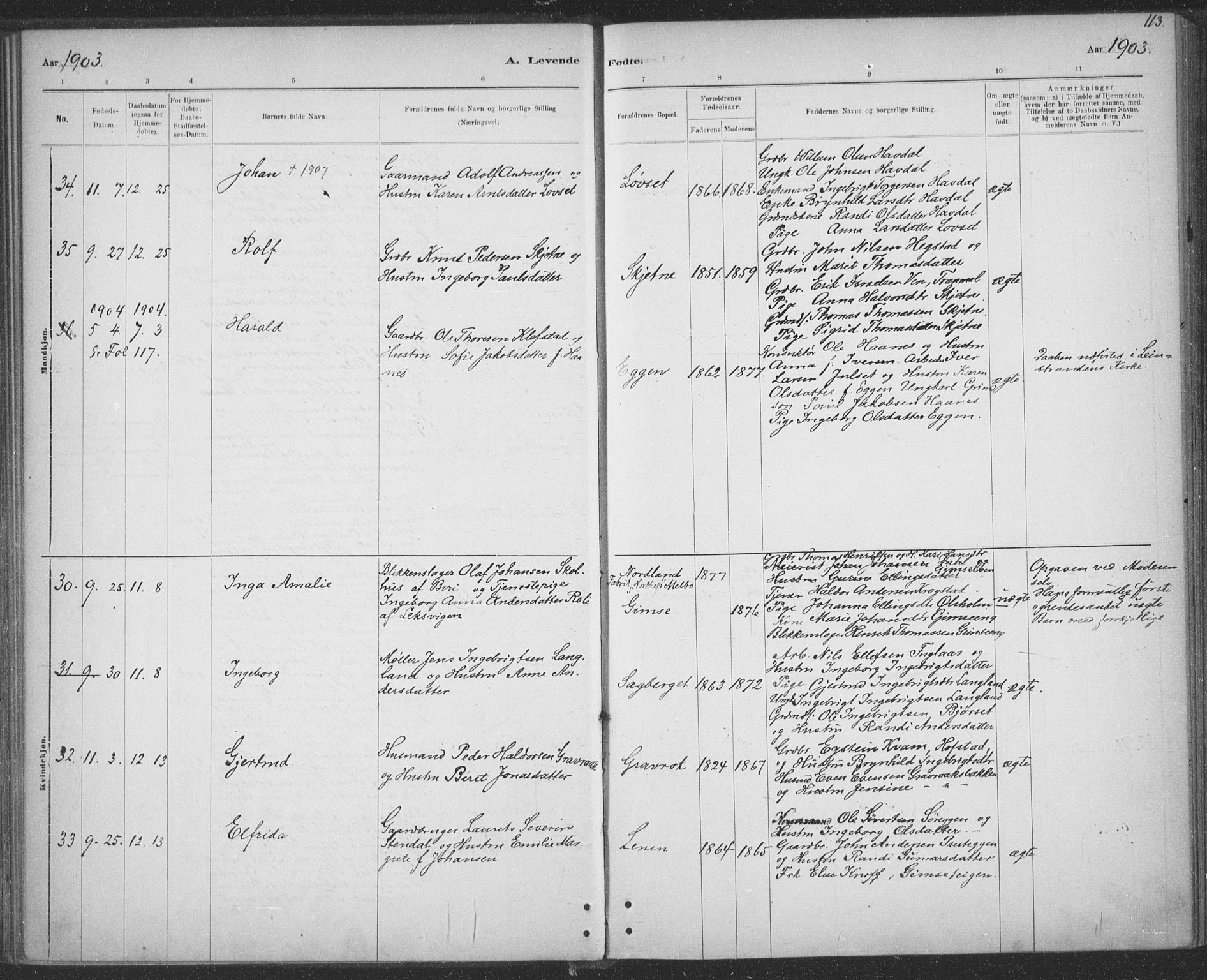 Ministerialprotokoller, klokkerbøker og fødselsregistre - Sør-Trøndelag, AV/SAT-A-1456/691/L1085: Parish register (official) no. 691A17, 1887-1908, p. 113