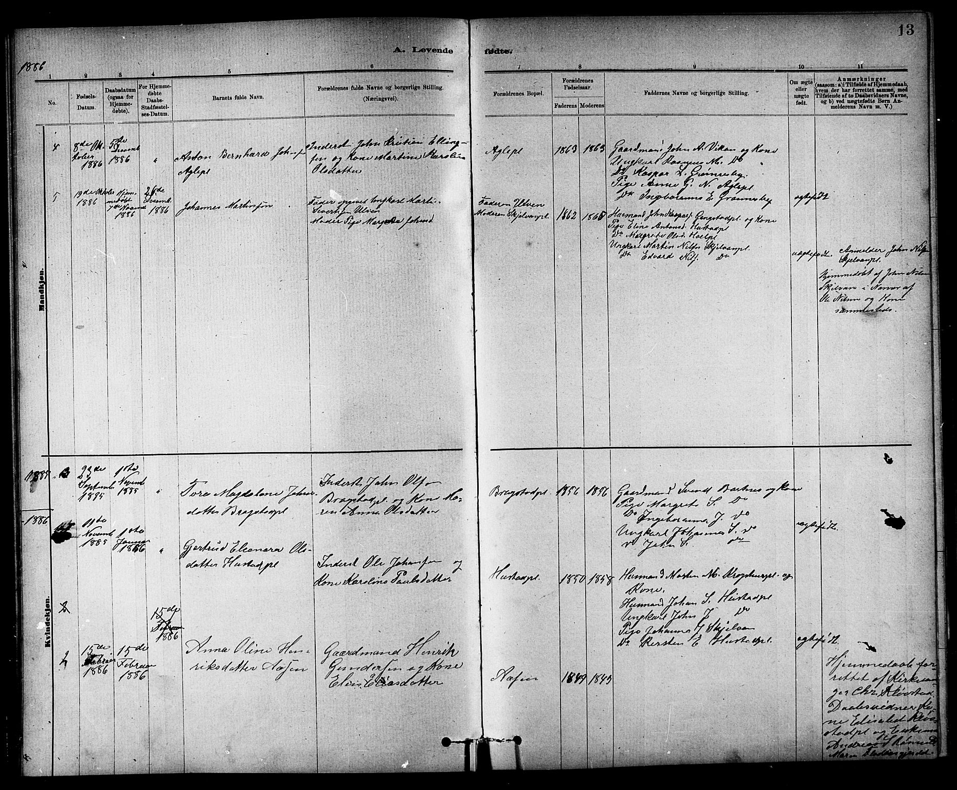 Ministerialprotokoller, klokkerbøker og fødselsregistre - Nord-Trøndelag, SAT/A-1458/732/L0318: Parish register (copy) no. 732C02, 1881-1911, p. 13