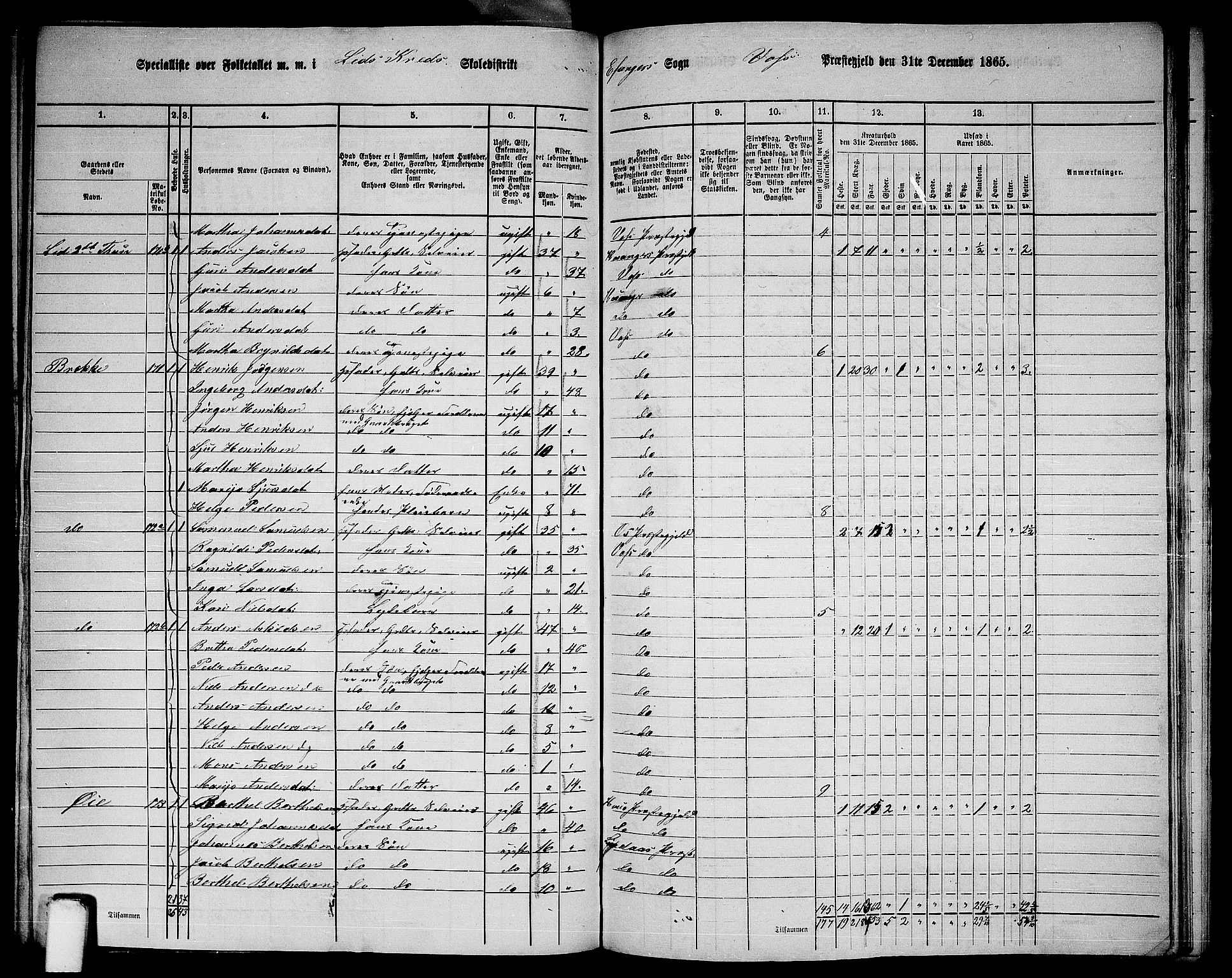 RA, 1865 census for Voss, 1865, p. 399