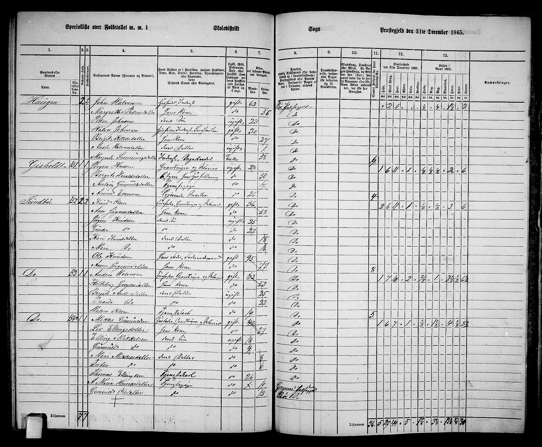 RA, 1865 census for Bø, 1865, p. 205