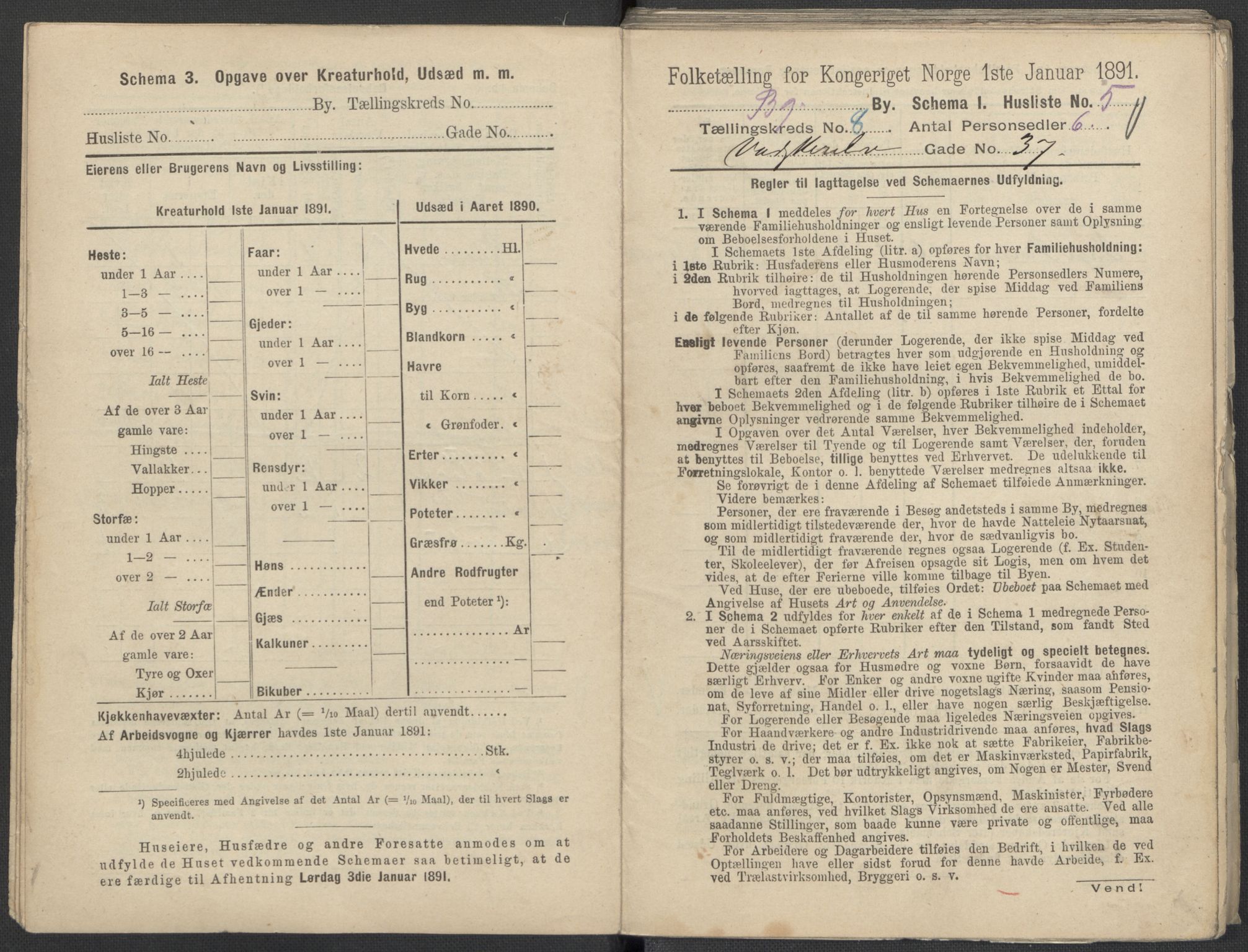 RA, 1891 Census for 1301 Bergen, 1891, p. 1348