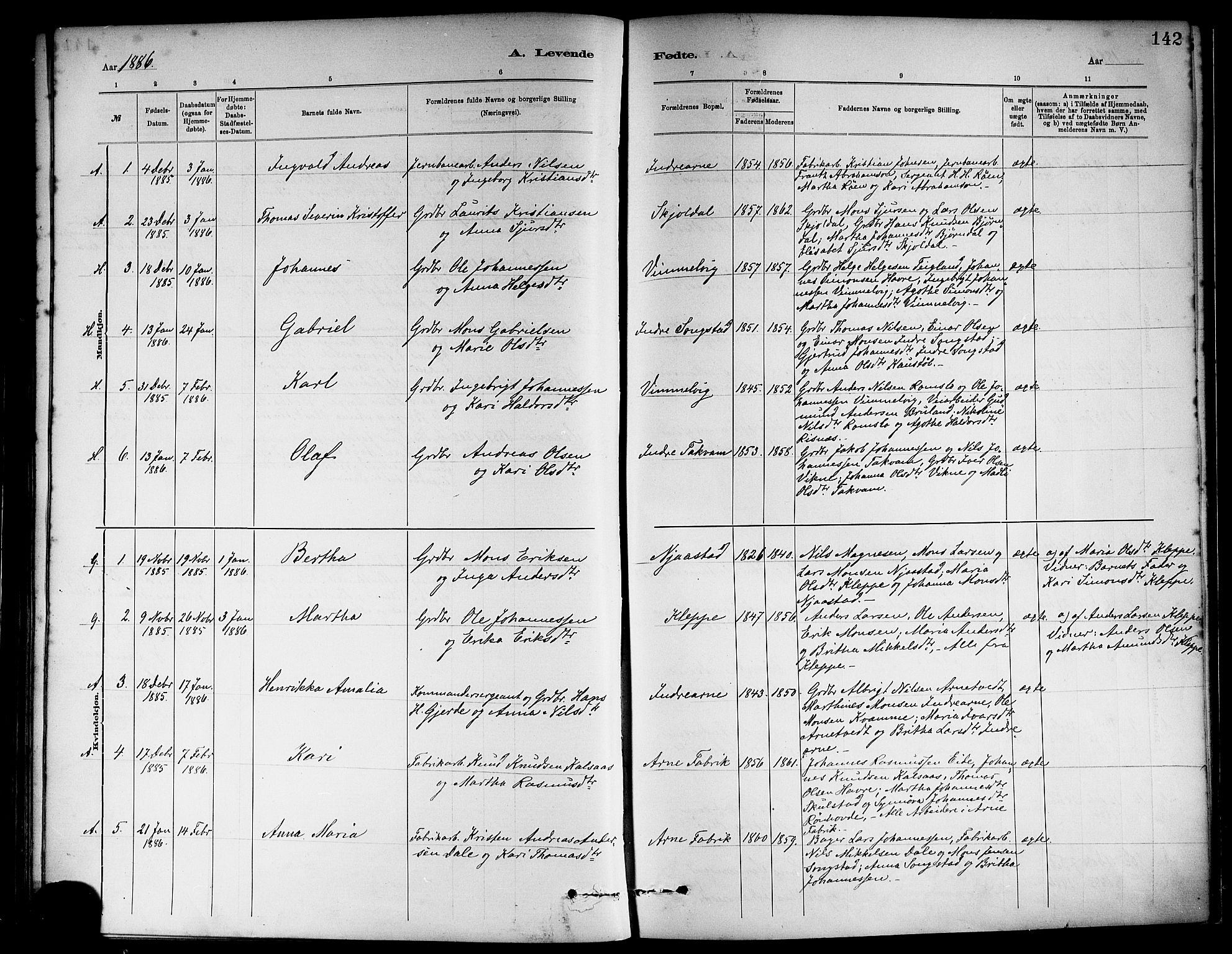 Haus sokneprestembete, AV/SAB-A-75601/H/Haa: Parish register (official) no. A 19I, 1878-1886, p. 142