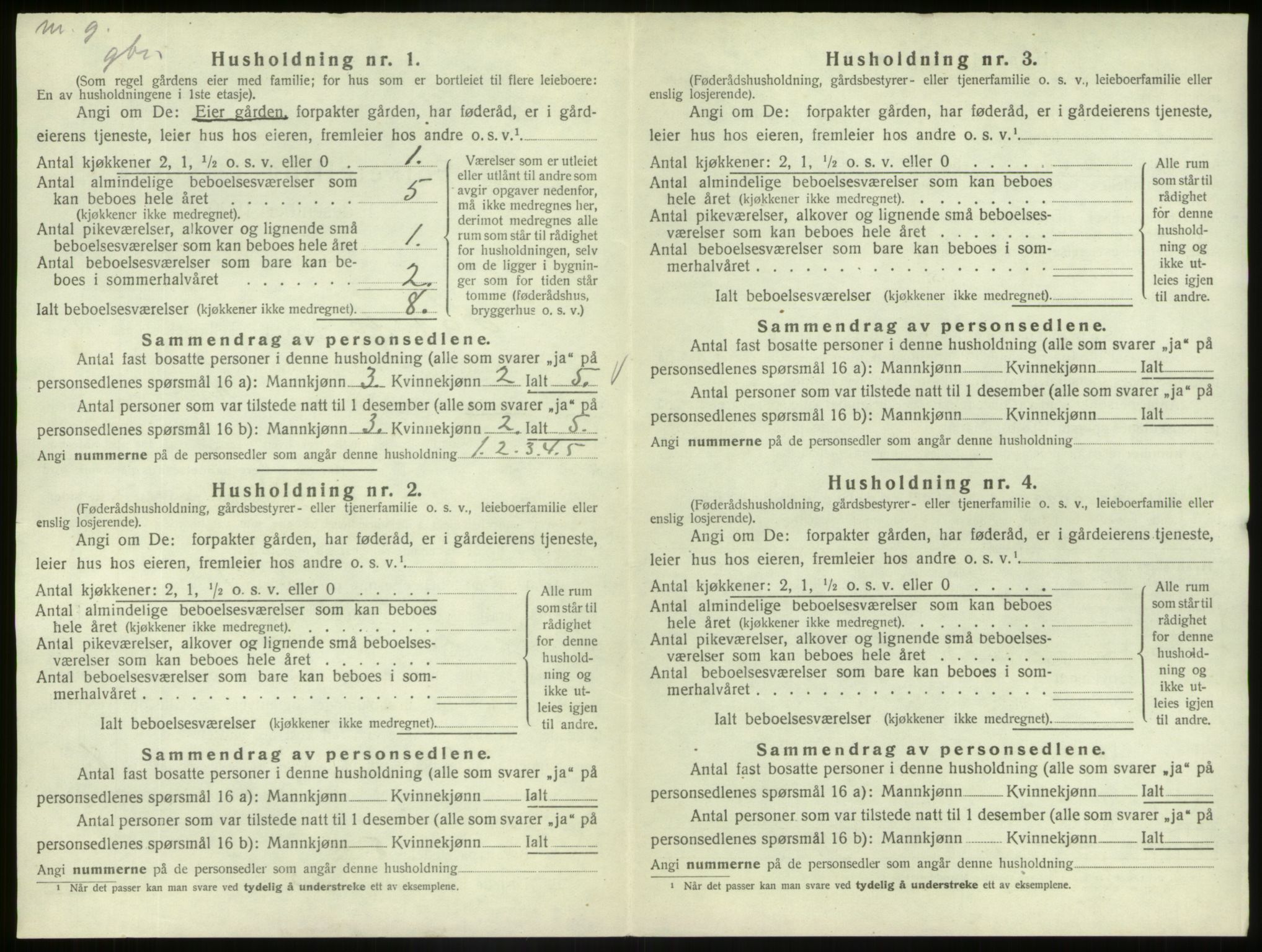 SAB, 1920 census for Hafslo, 1920, p. 203