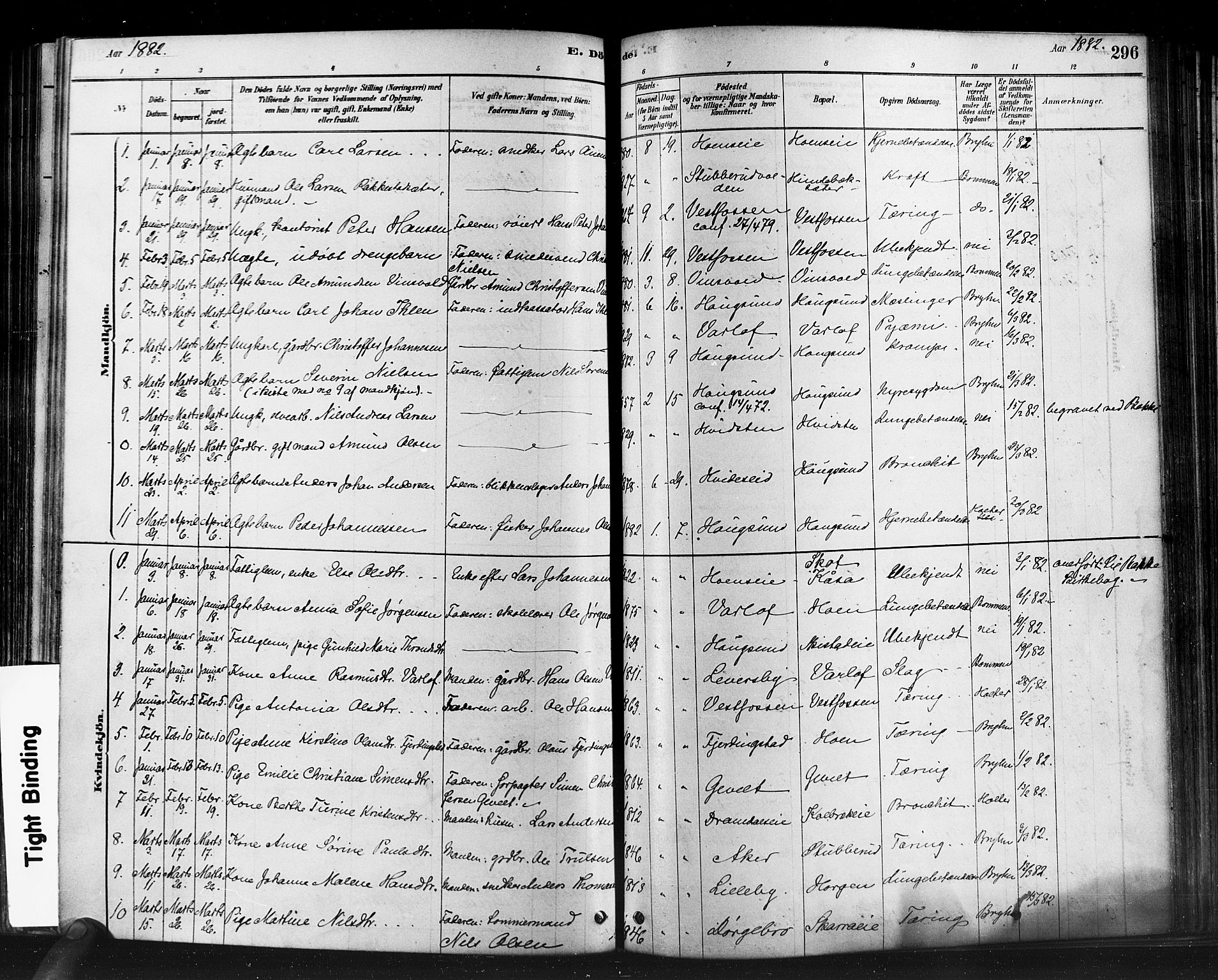 Eiker kirkebøker, SAKO/A-4/F/Fb/L0001: Parish register (official) no. II 1, 1878-1888, p. 296