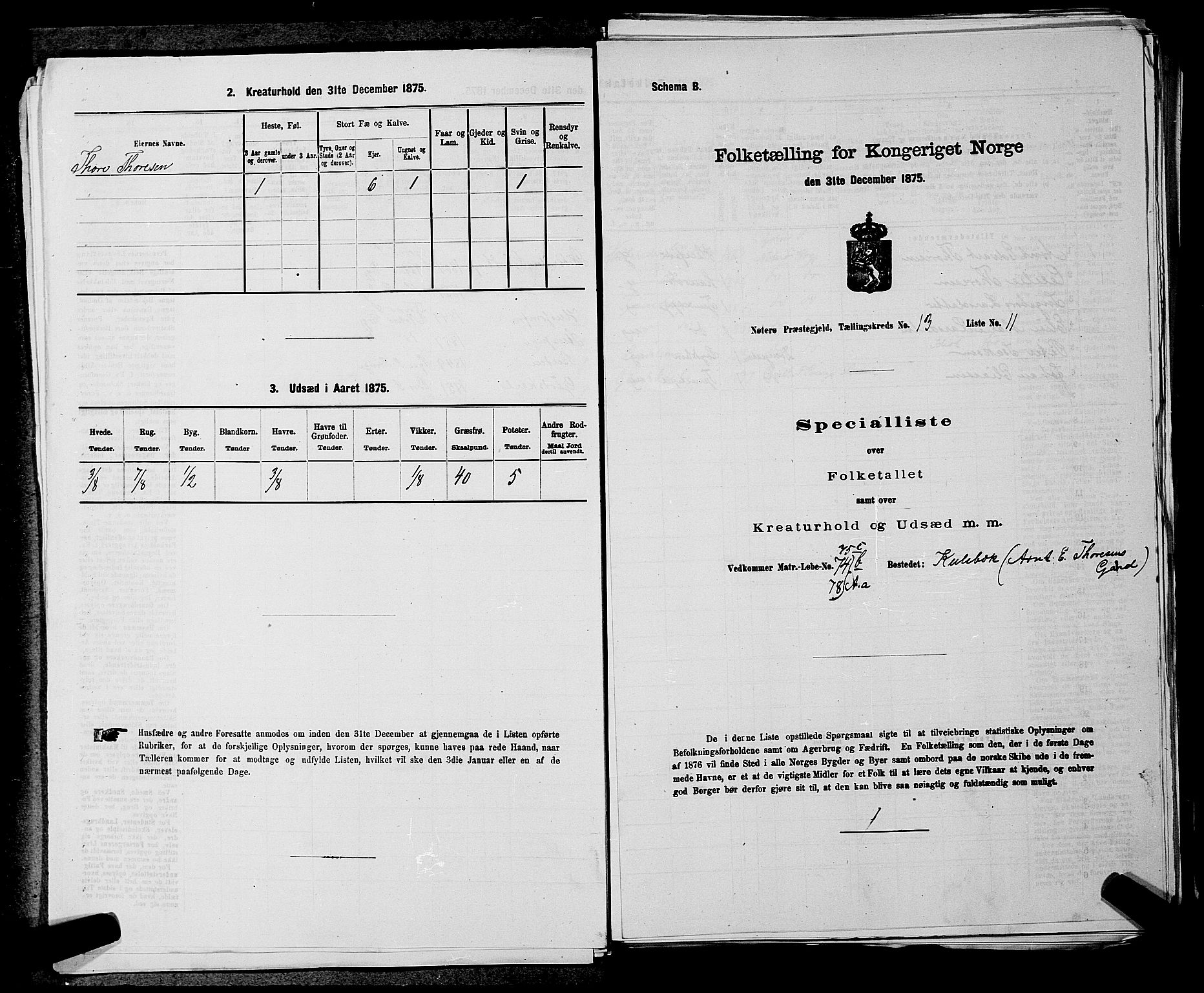 SAKO, 1875 census for 0722P Nøtterøy, 1875, p. 2867