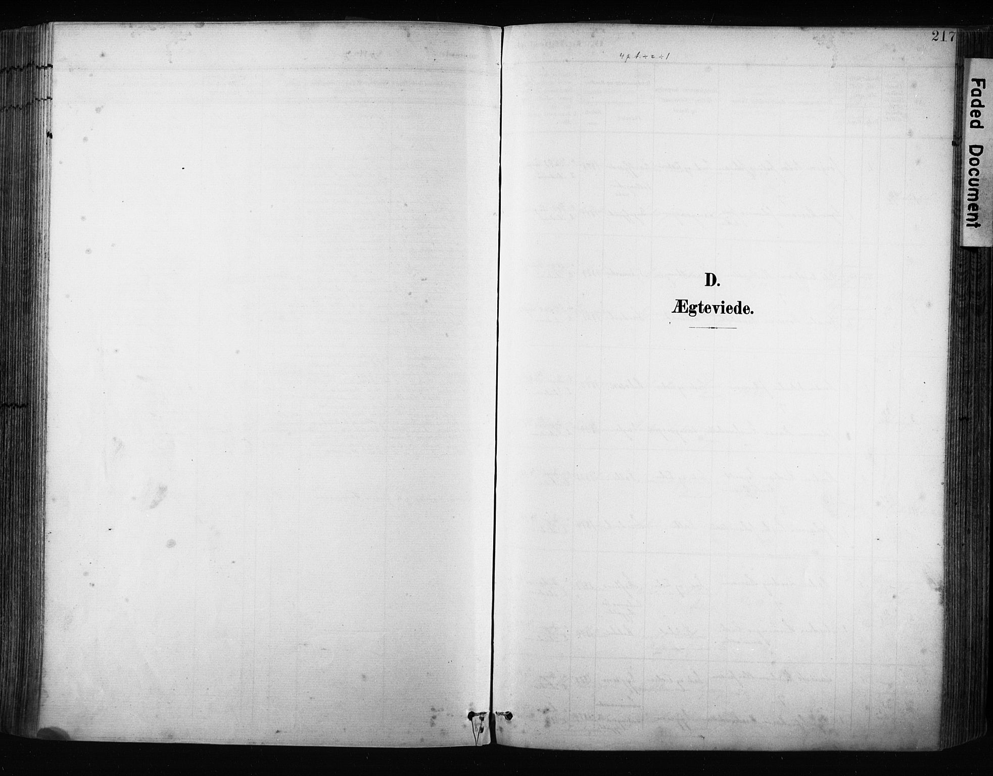Ministerialprotokoller, klokkerbøker og fødselsregistre - Nordland, SAT/A-1459/880/L1134: Parish register (official) no. 880A08, 1899-1908, p. 217