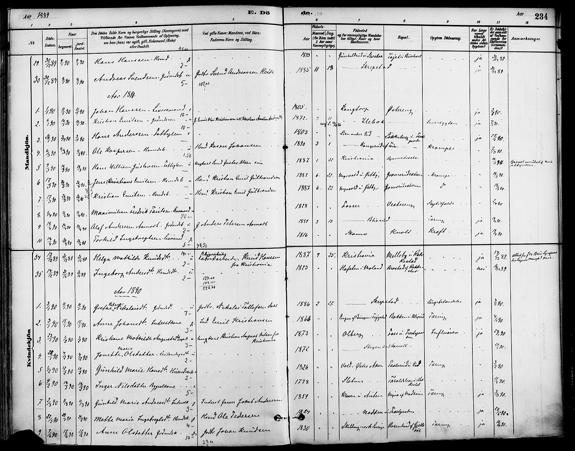 Høland prestekontor Kirkebøker, AV/SAO-A-10346a/F/Fa/L0013: Parish register (official) no. I 13, 1880-1897, p. 234