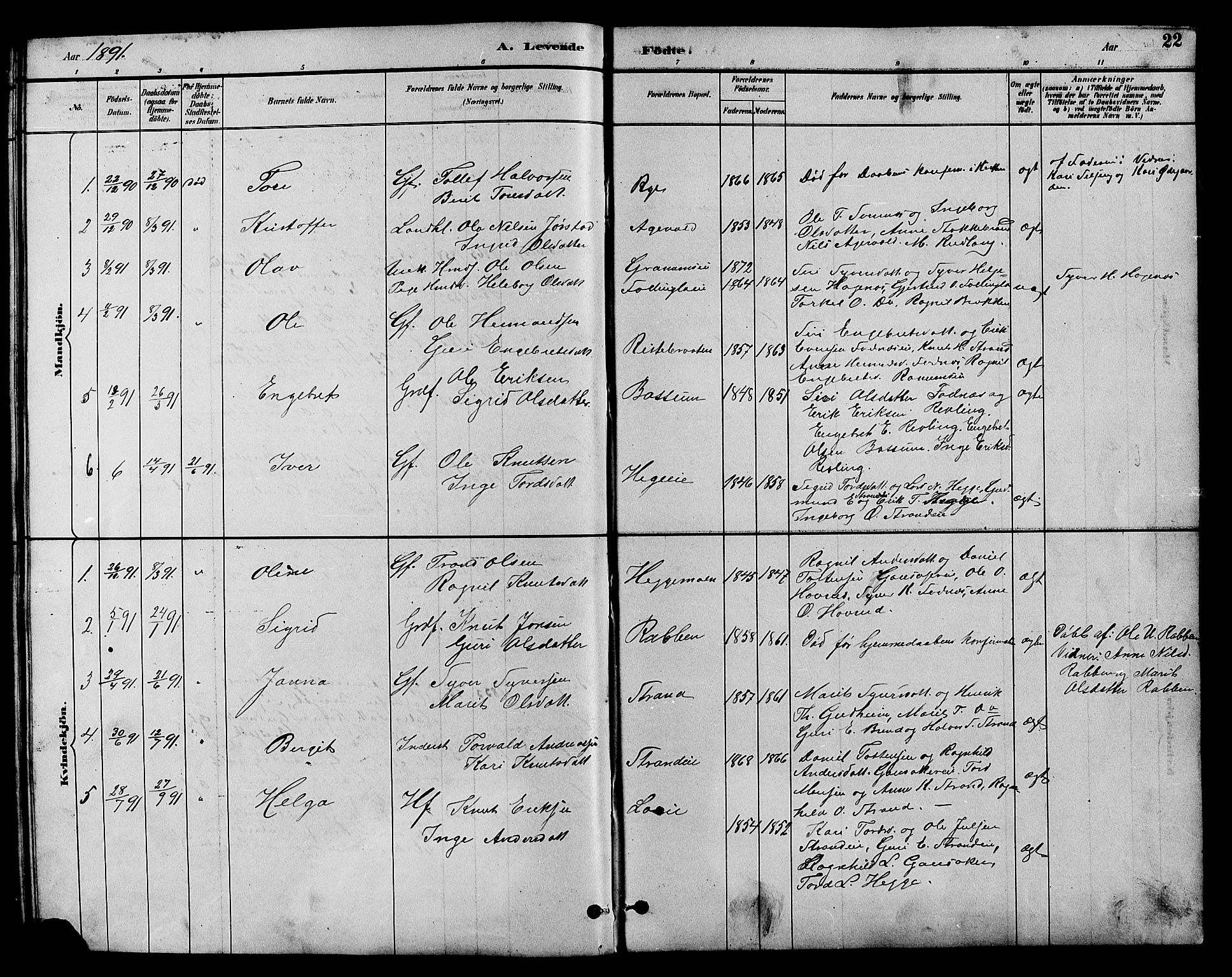 Nord-Aurdal prestekontor, AV/SAH-PREST-132/H/Ha/Hab/L0007: Parish register (copy) no. 7, 1883-1910, p. 22