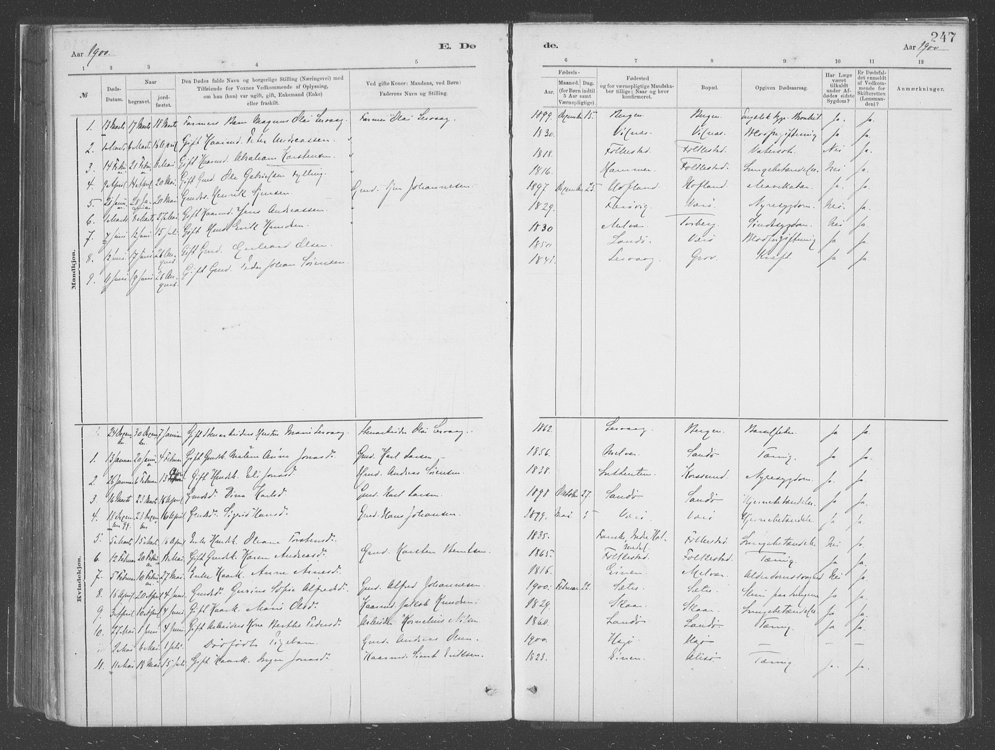 Askvoll sokneprestembete, SAB/A-79501/H/Haa/Haac/L0001: Parish register (official) no. C  1, 1879-1922, p. 247