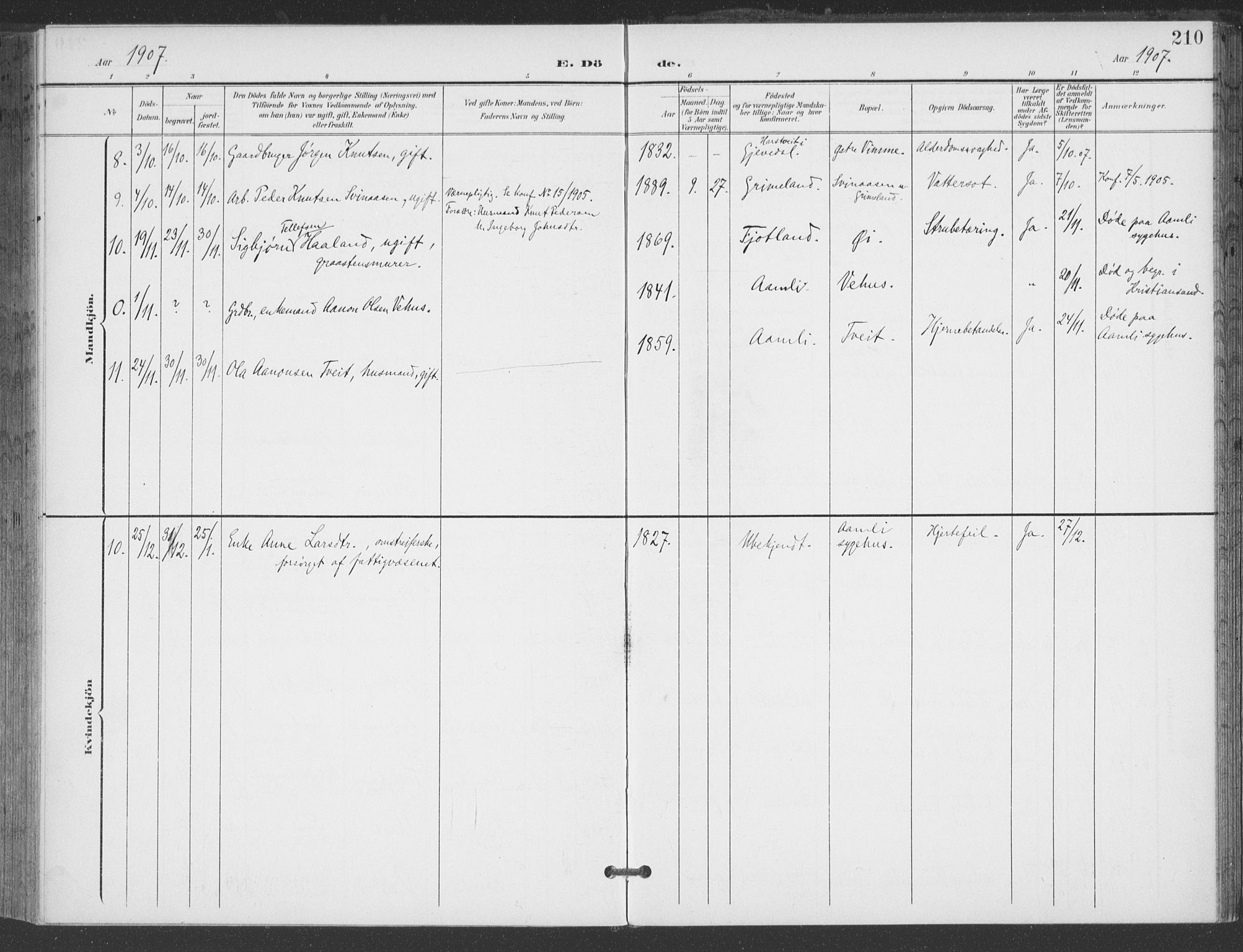 Åmli sokneprestkontor, AV/SAK-1111-0050/F/Fa/Fac/L0012: Parish register (official) no. A 12, 1900-1914, p. 210