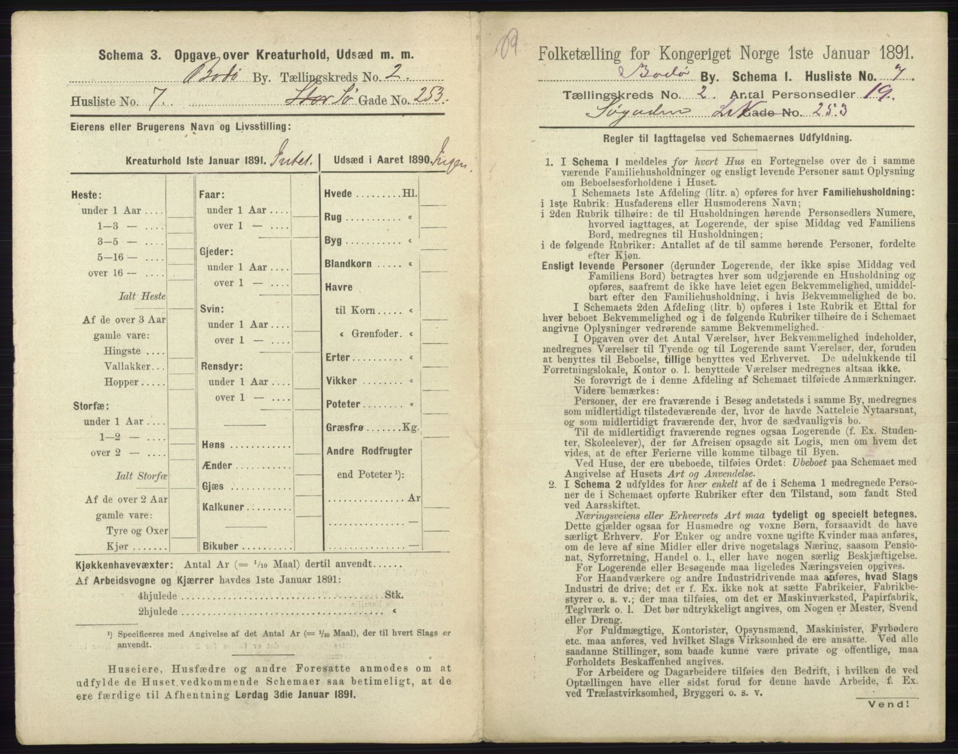 RA, 1891 census for 1804 Bodø, 1891, p. 862