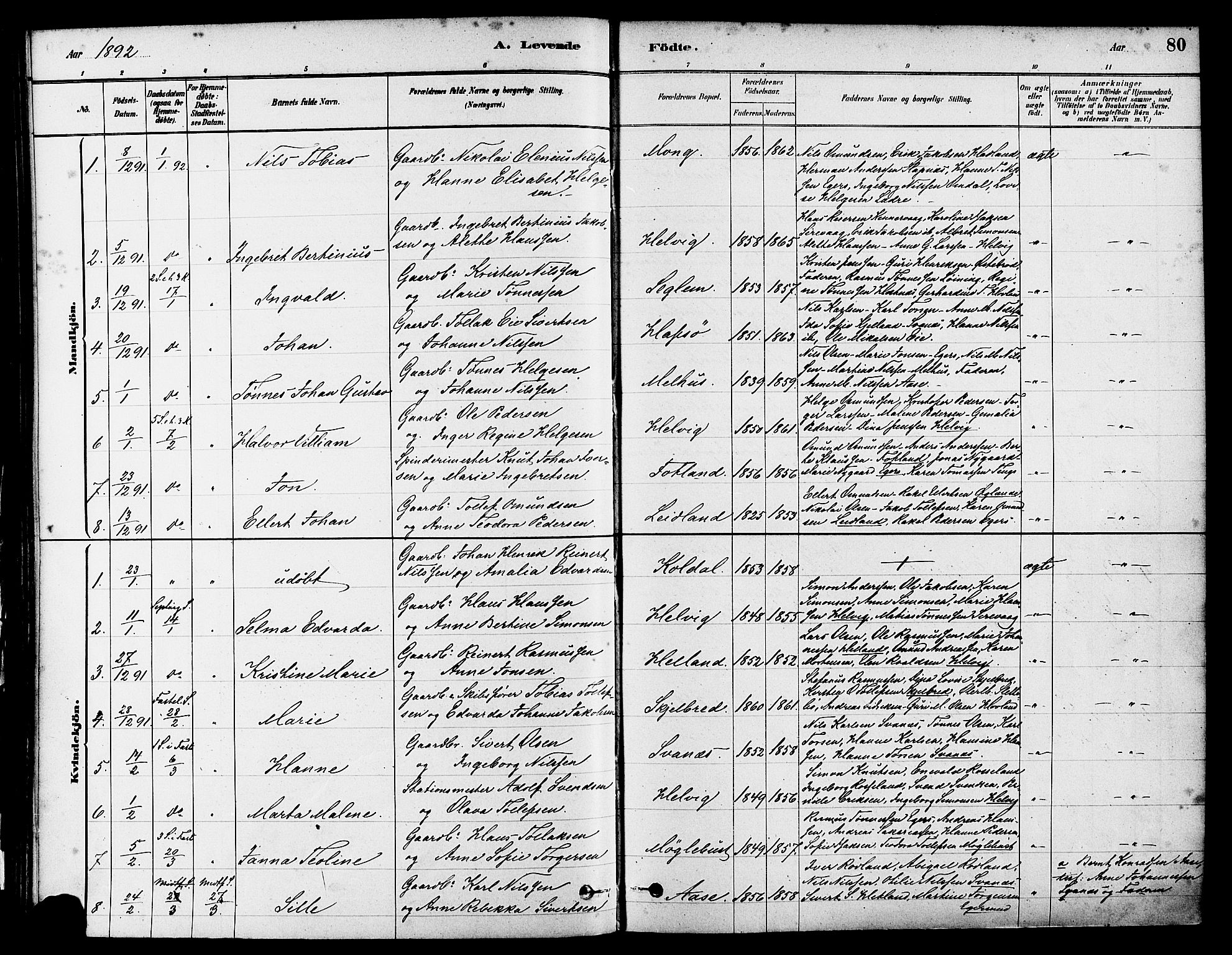 Eigersund sokneprestkontor, SAST/A-101807/S08/L0017: Parish register (official) no. A 14, 1879-1892, p. 80
