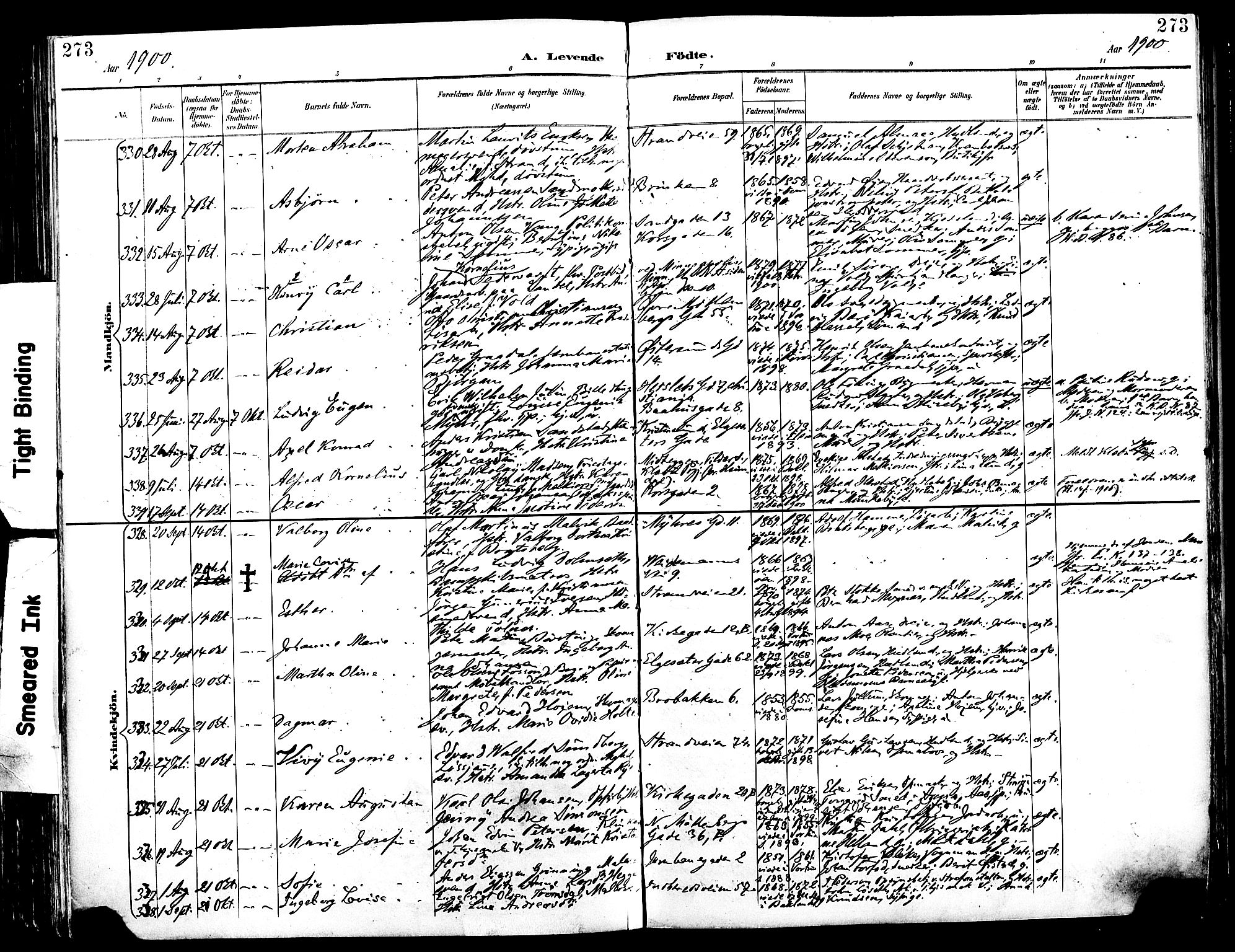 Ministerialprotokoller, klokkerbøker og fødselsregistre - Sør-Trøndelag, SAT/A-1456/604/L0197: Parish register (official) no. 604A18, 1893-1900, p. 273