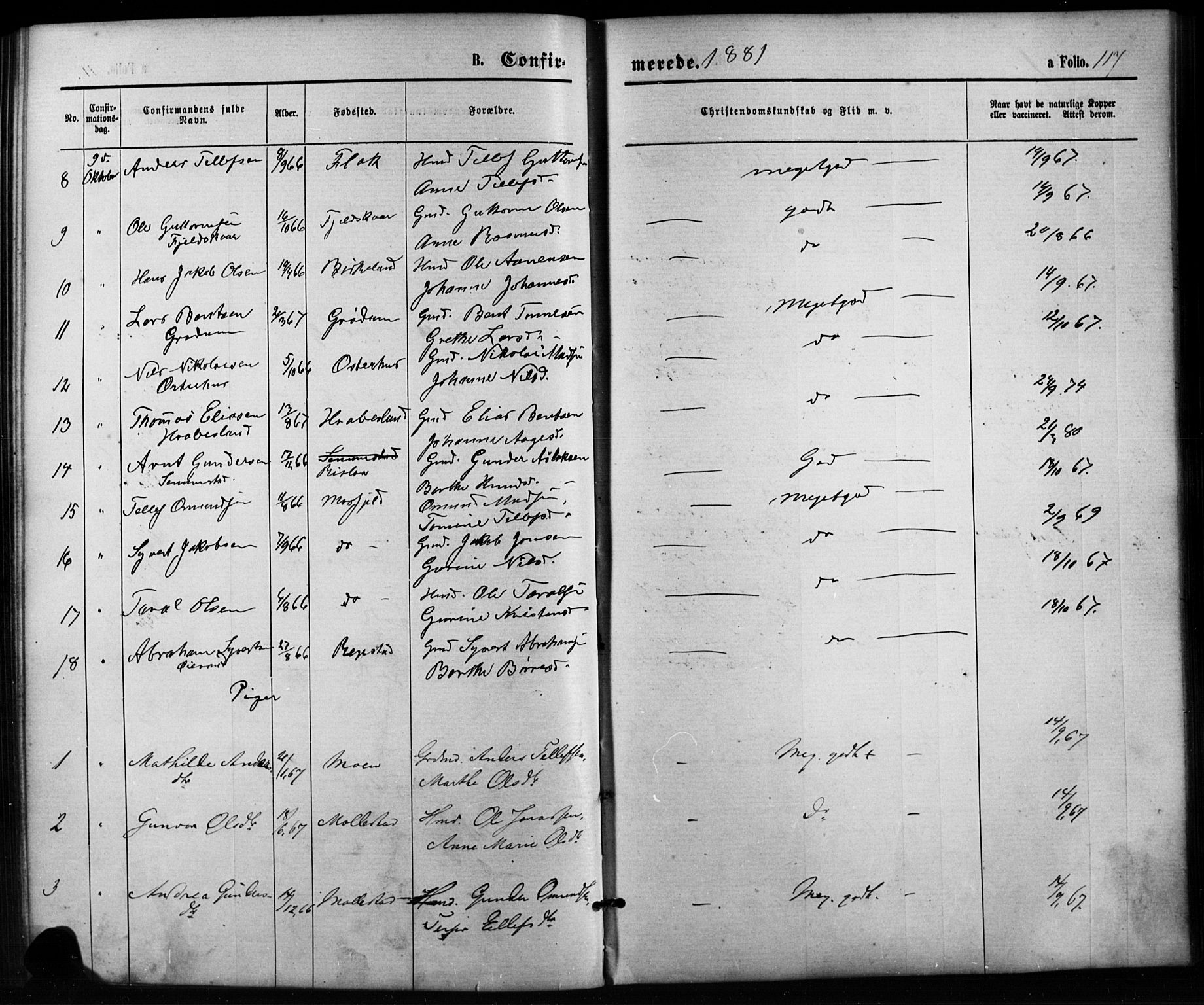 Birkenes sokneprestkontor, SAK/1111-0004/F/Fb/L0003: Parish register (copy) no. B 3, 1876-1892, p. 117