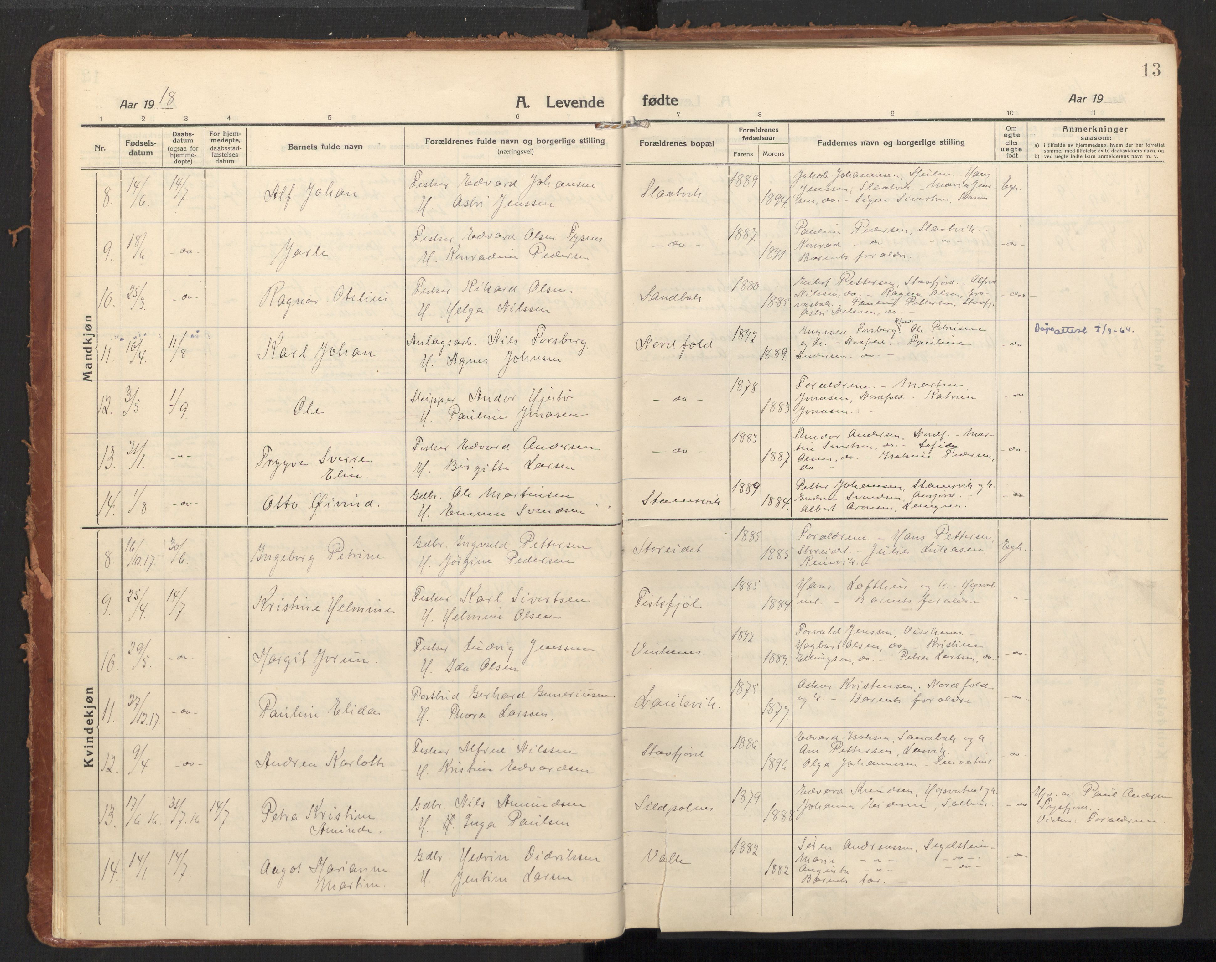 Ministerialprotokoller, klokkerbøker og fødselsregistre - Nordland, AV/SAT-A-1459/858/L0833: Parish register (official) no. 858A03, 1916-1934, p. 13