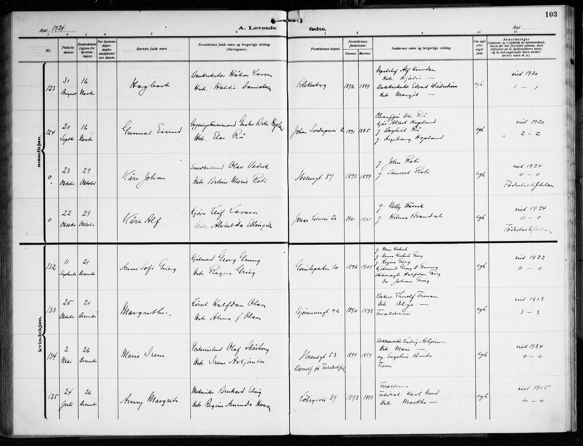 Årstad Sokneprestembete, AV/SAB-A-79301/H/Haa/L0005: Parish register (official) no. A 5, 1923-1925, p. 103