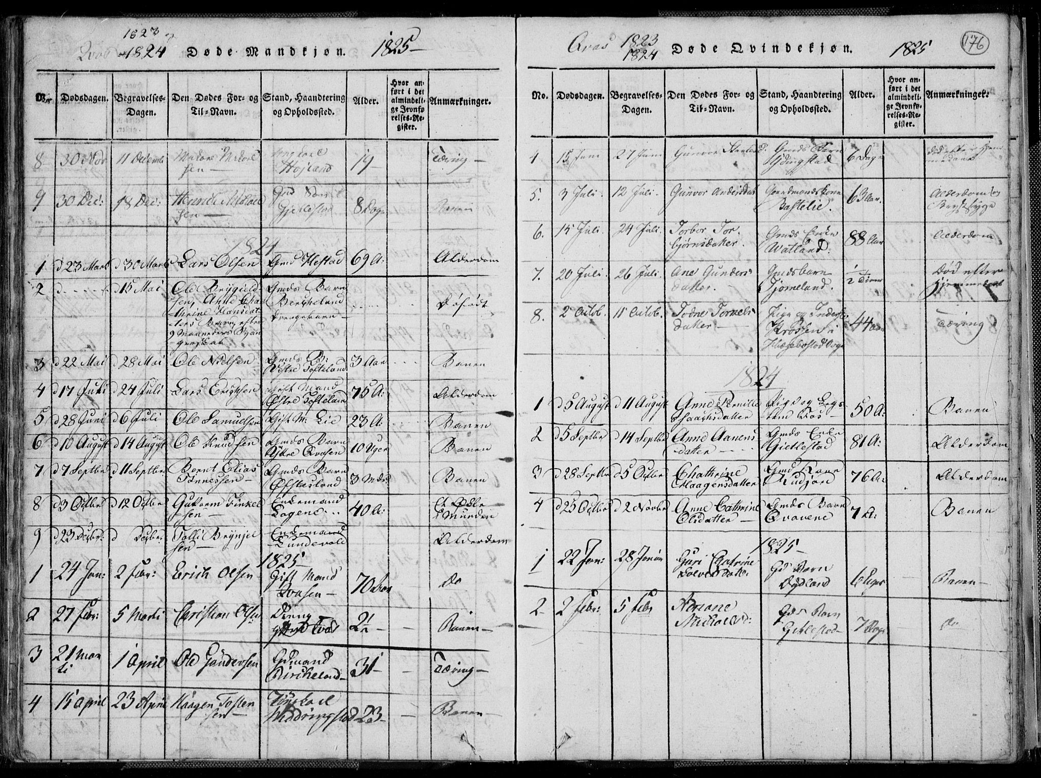 Lyngdal sokneprestkontor, AV/SAK-1111-0029/F/Fa/Fac/L0006: Parish register (official) no. A 6, 1815-1825, p. 176