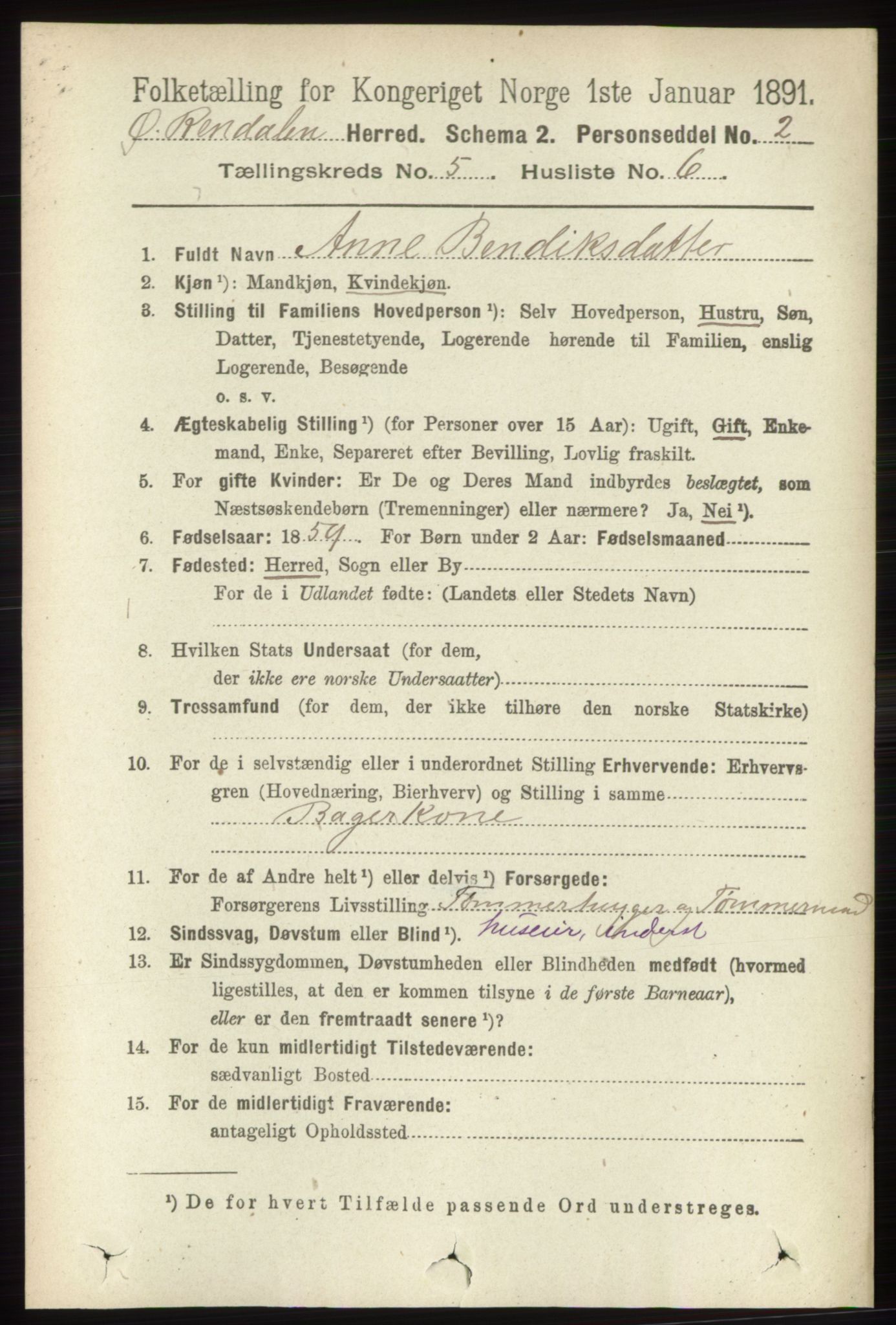 RA, 1891 census for 0433 Øvre Rendal, 1891, p. 1347