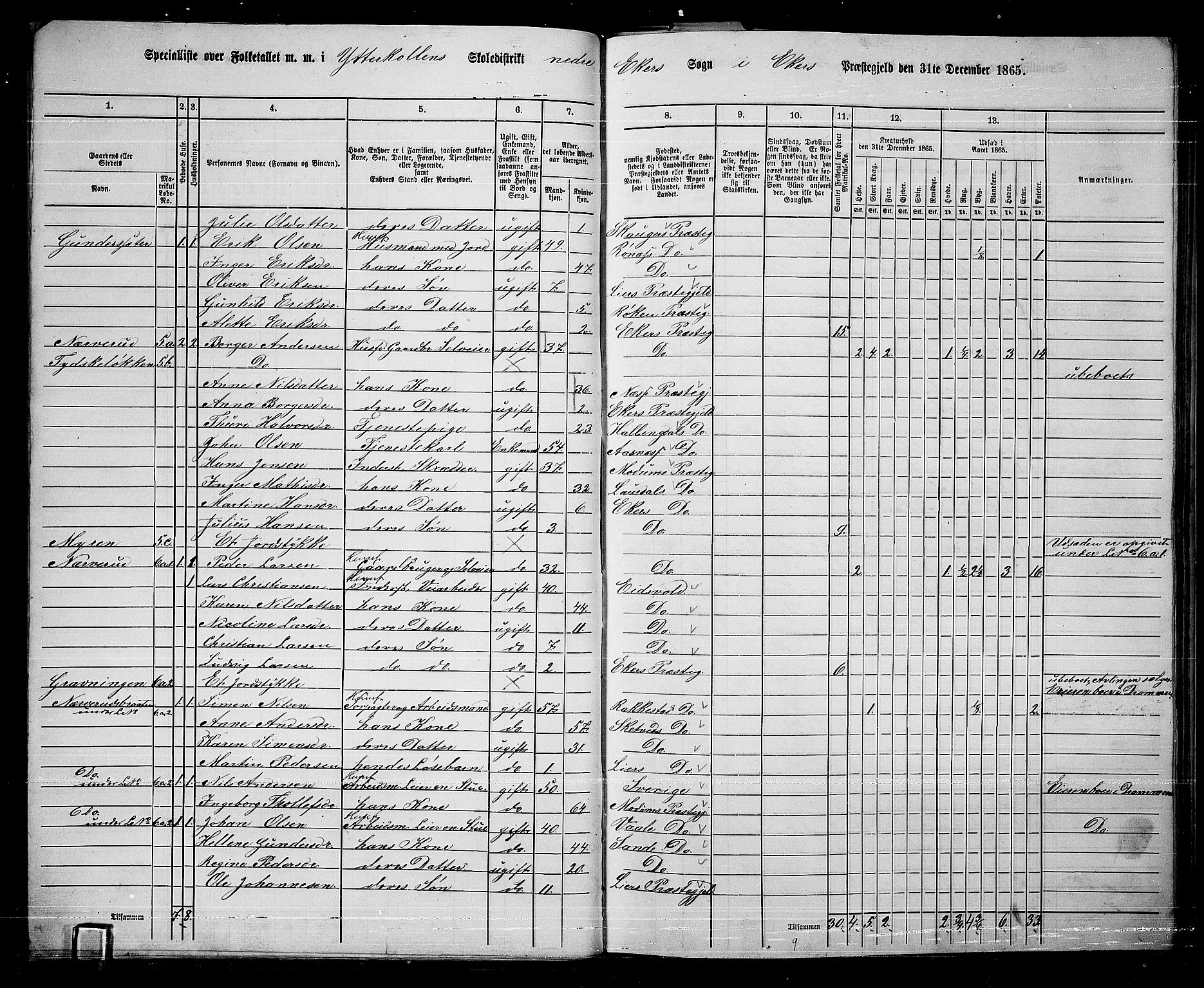 RA, 1865 census for Eiker, 1865, p. 284