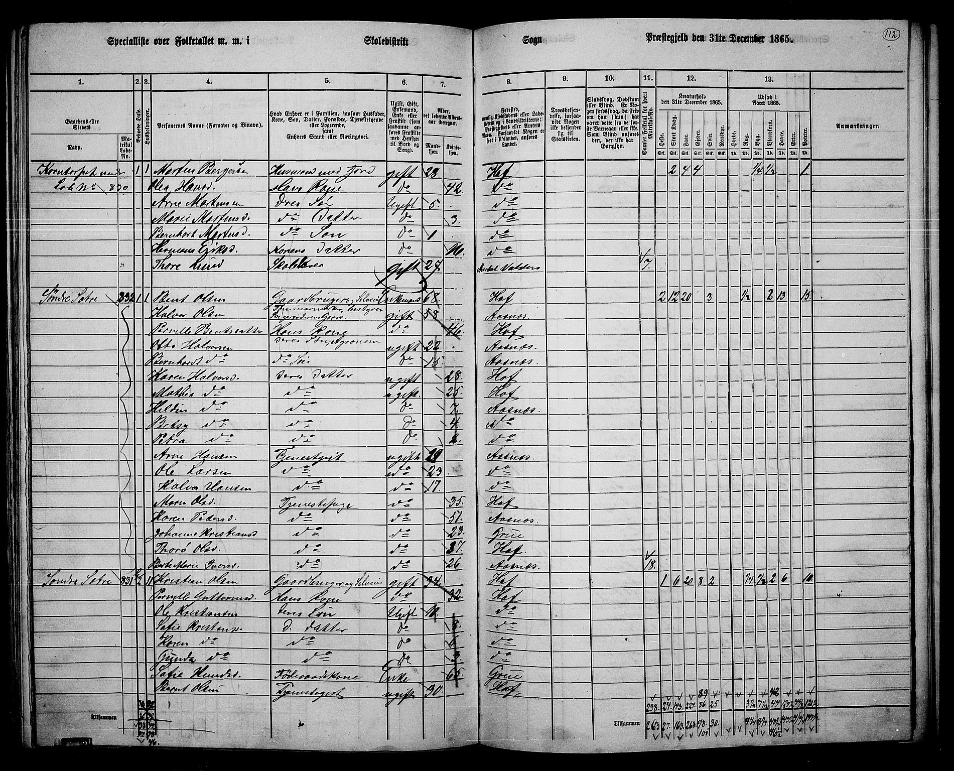 RA, 1865 census for Hof, 1865, p. 104