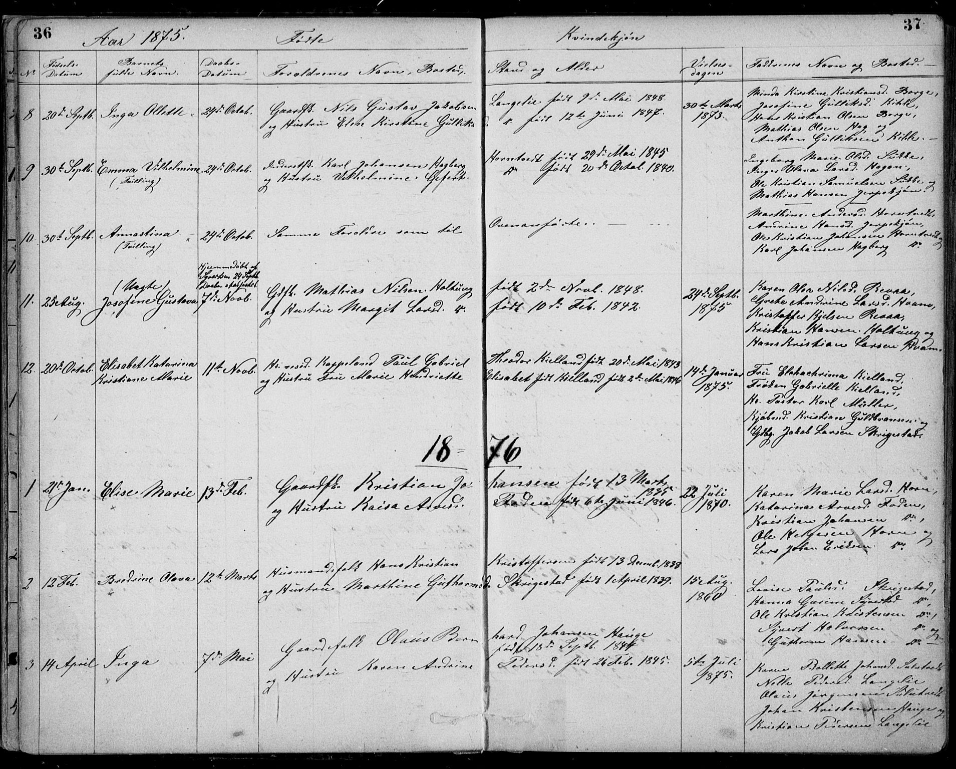 Ramnes kirkebøker, AV/SAKO-A-314/G/Gb/L0001: Parish register (copy) no. II 1, 1869-1904, p. 36-37