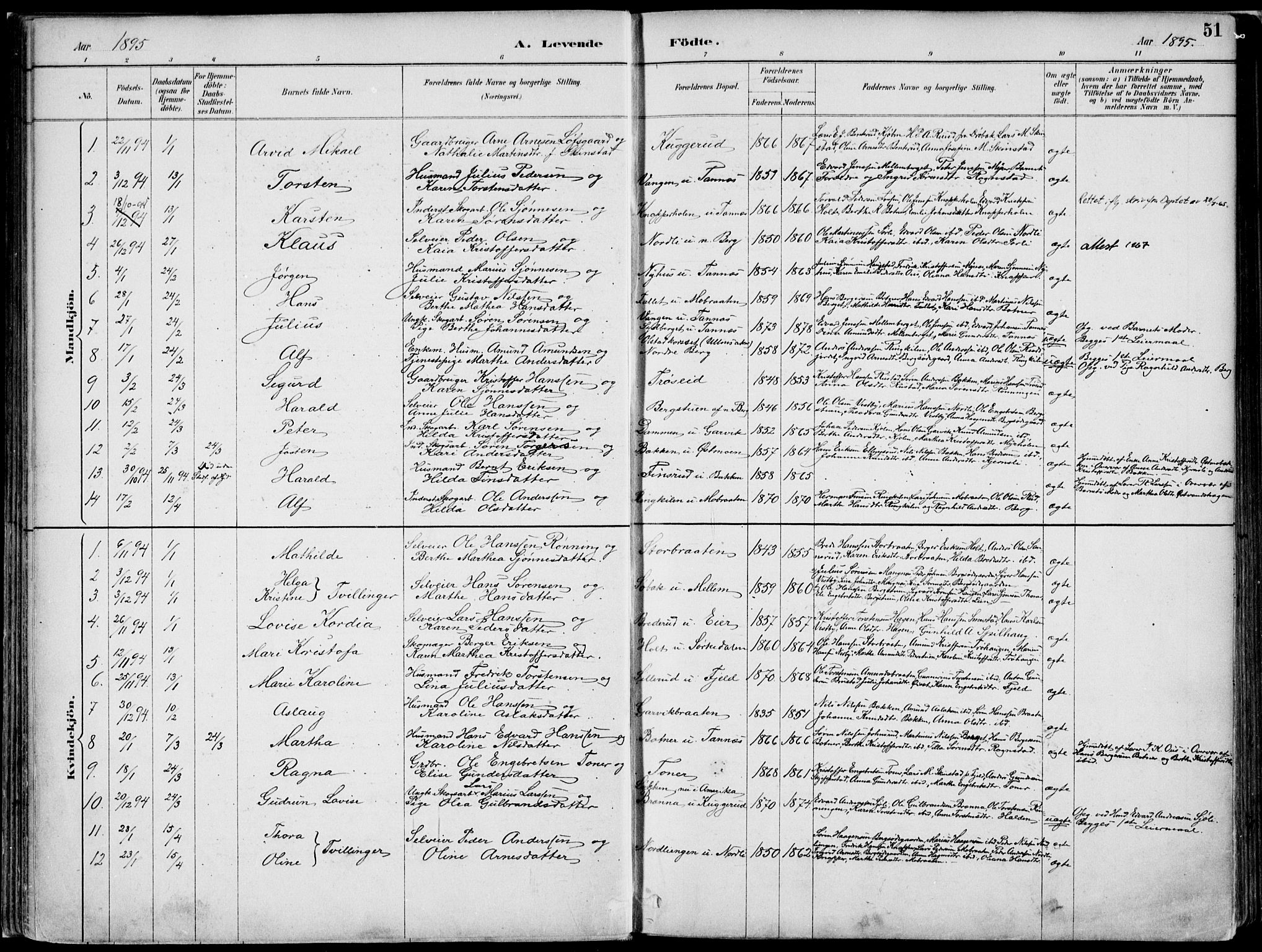 Nord-Odal prestekontor, AV/SAH-PREST-032/H/Ha/Haa/L0008: Parish register (official) no. 8, 1886-1901, p. 51