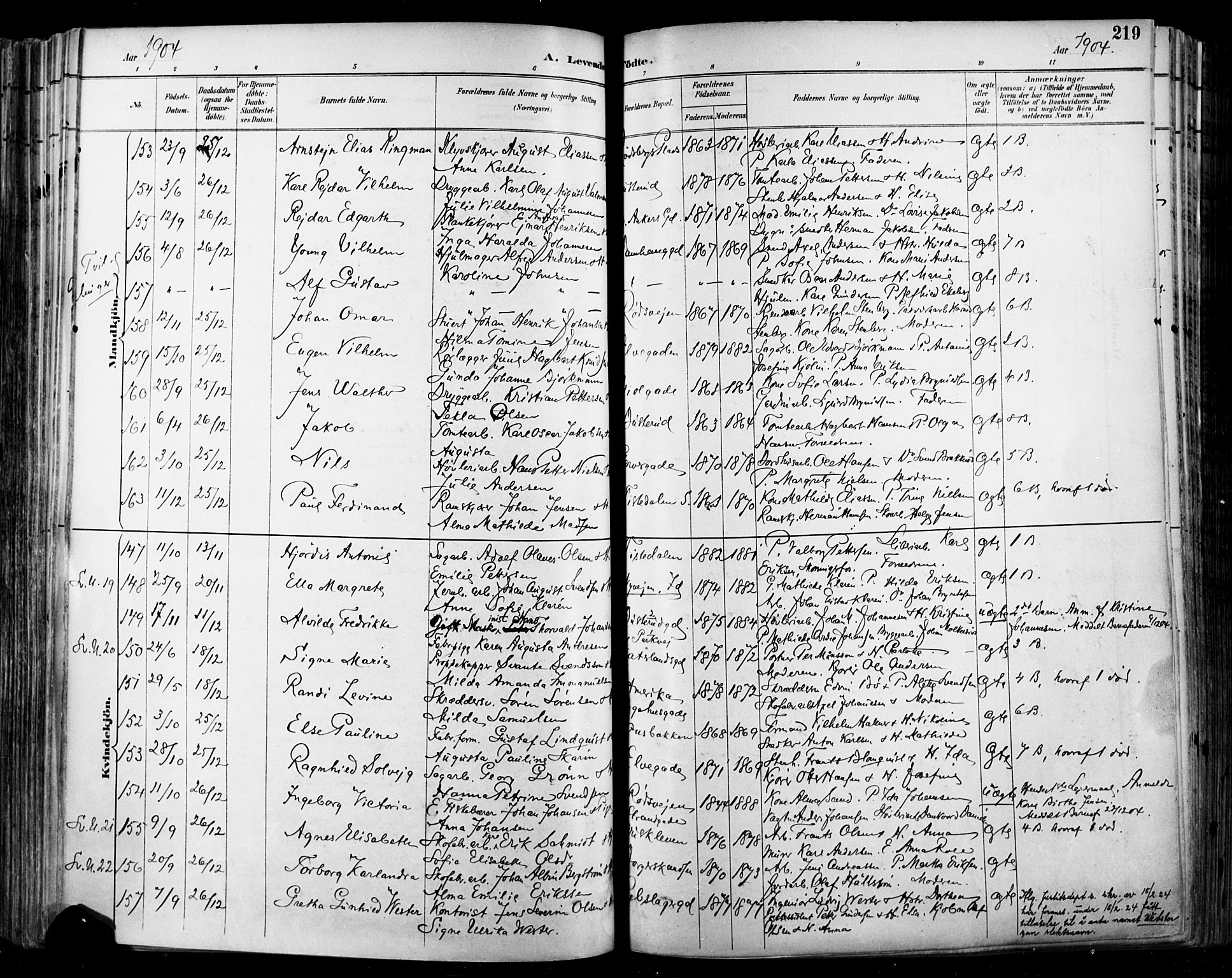 Halden prestekontor Kirkebøker, SAO/A-10909/F/Fa/L0013: Parish register (official) no. I 13, 1890-1906, p. 219