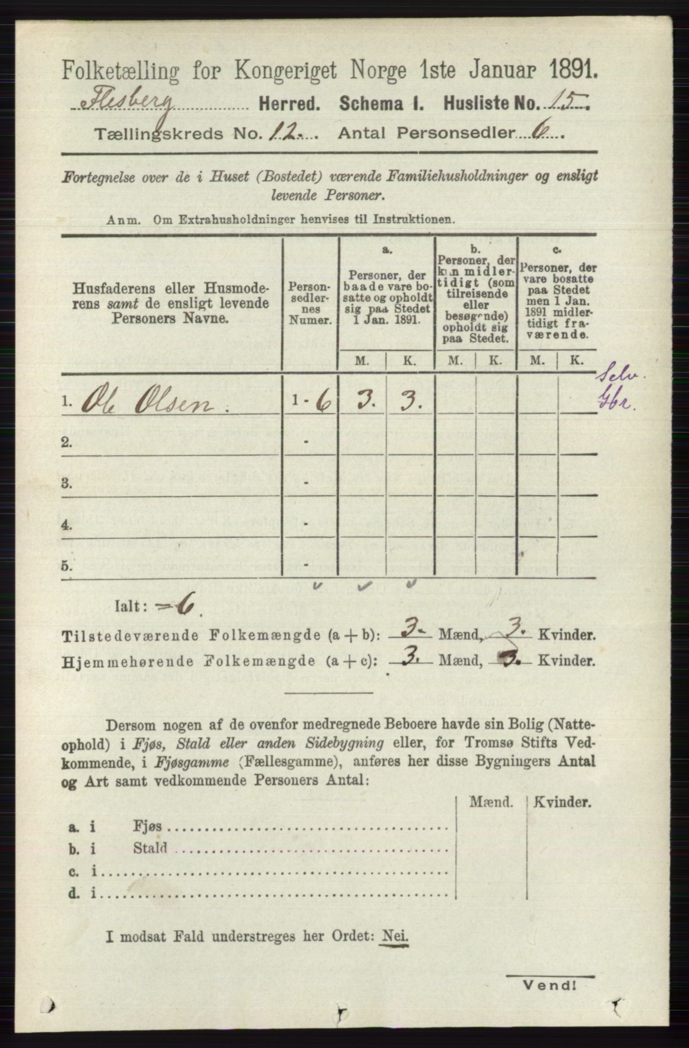 RA, 1891 census for 0631 Flesberg, 1891, p. 2085