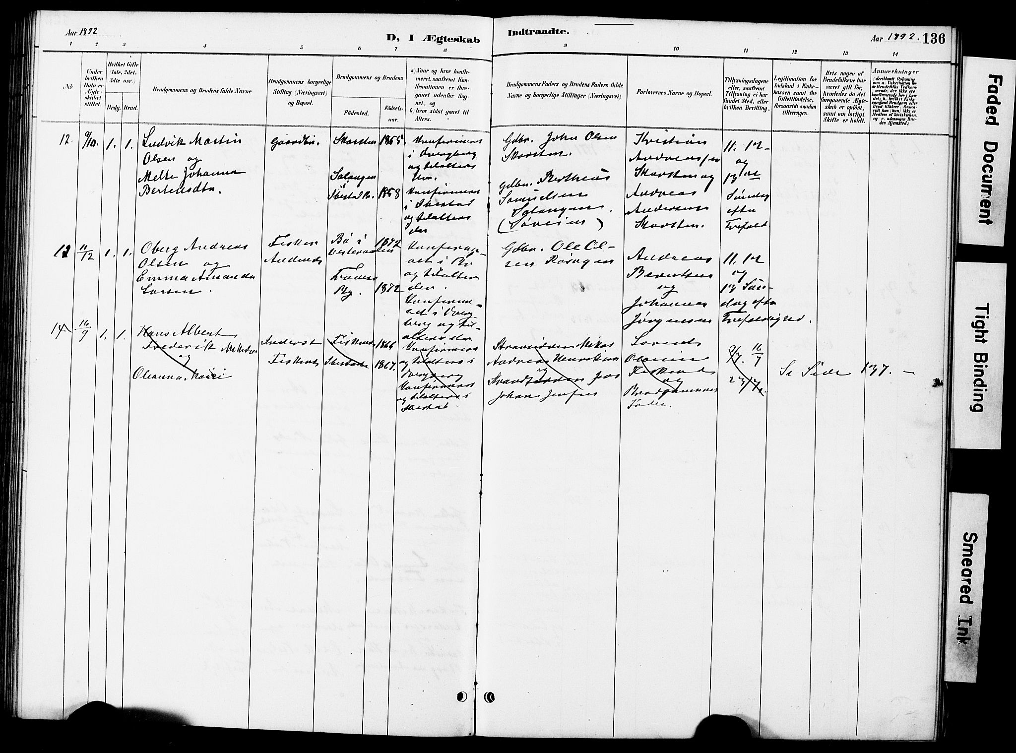 Ministerialprotokoller, klokkerbøker og fødselsregistre - Nordland, AV/SAT-A-1459/899/L1448: Parish register (copy) no. 899C03, 1887-1902, p. 136