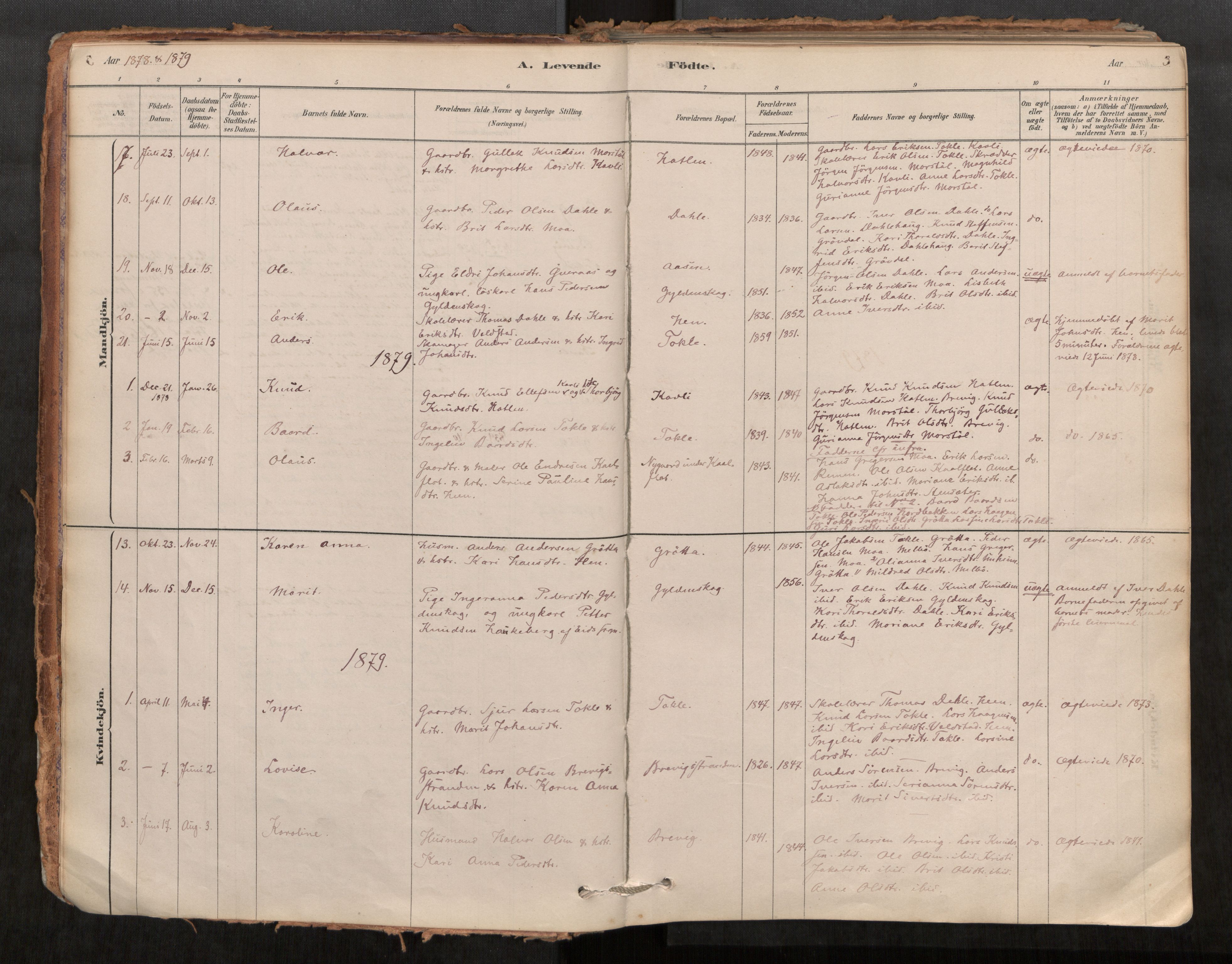 Ministerialprotokoller, klokkerbøker og fødselsregistre - Møre og Romsdal, SAT/A-1454/545/L0594: Parish register (official) no. 545A03, 1878-1920, p. 3