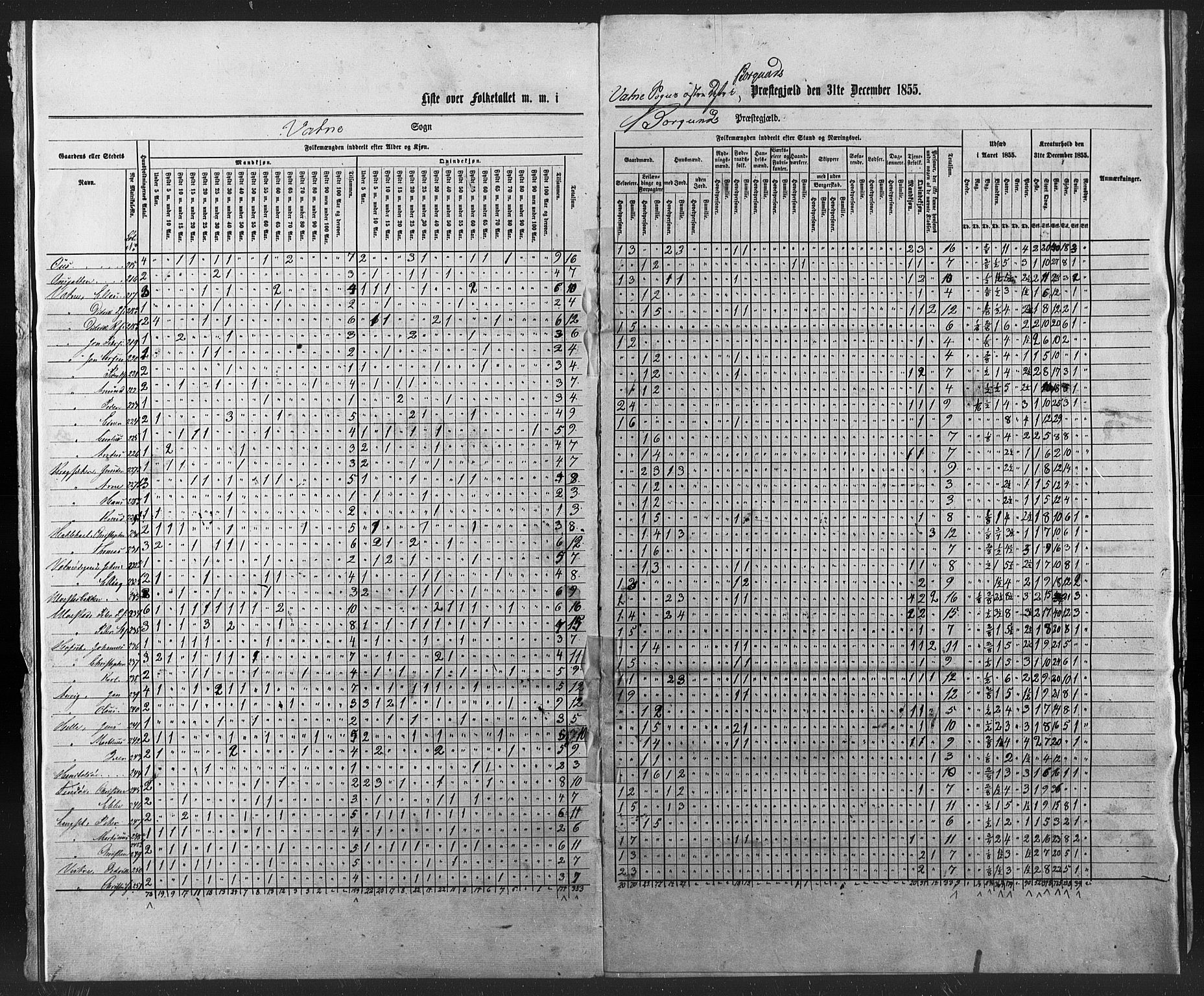 SAT, Census 1855 for Borgund, 1855, p. 2