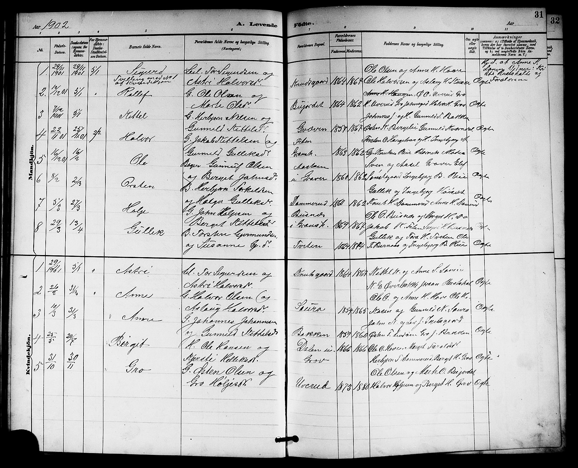 Gransherad kirkebøker, SAKO/A-267/G/Gb/L0003: Parish register (copy) no. II 3, 1887-1921, p. 31