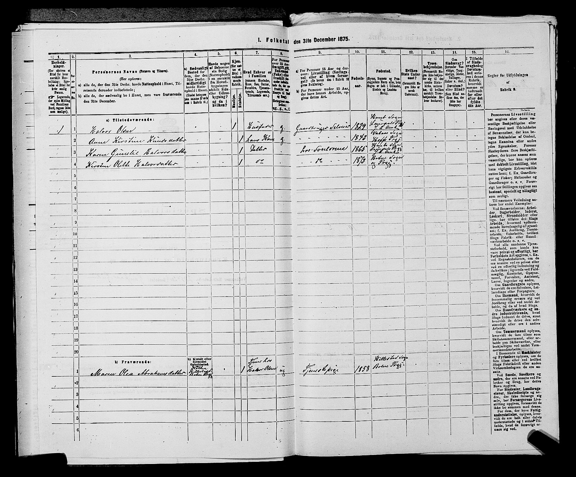 SAKO, 1875 census for 0715P Botne, 1875, p. 739