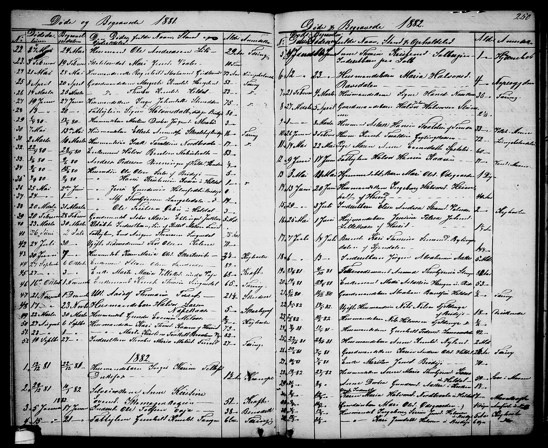 Drangedal kirkebøker, SAKO/A-258/G/Ga/L0002: Parish register (copy) no. I 2, 1856-1887, p. 250