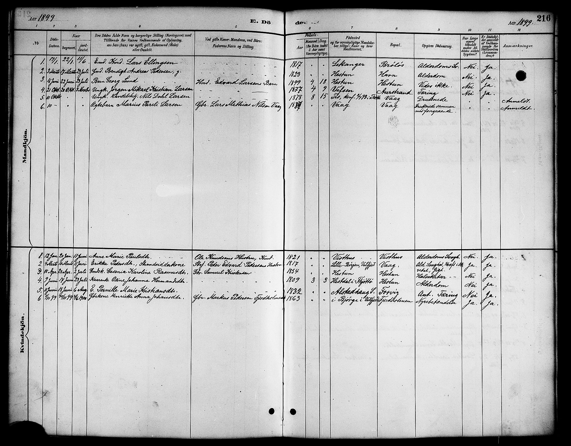 Ministerialprotokoller, klokkerbøker og fødselsregistre - Nordland, AV/SAT-A-1459/819/L0277: Parish register (copy) no. 819C03, 1888-1917, p. 216