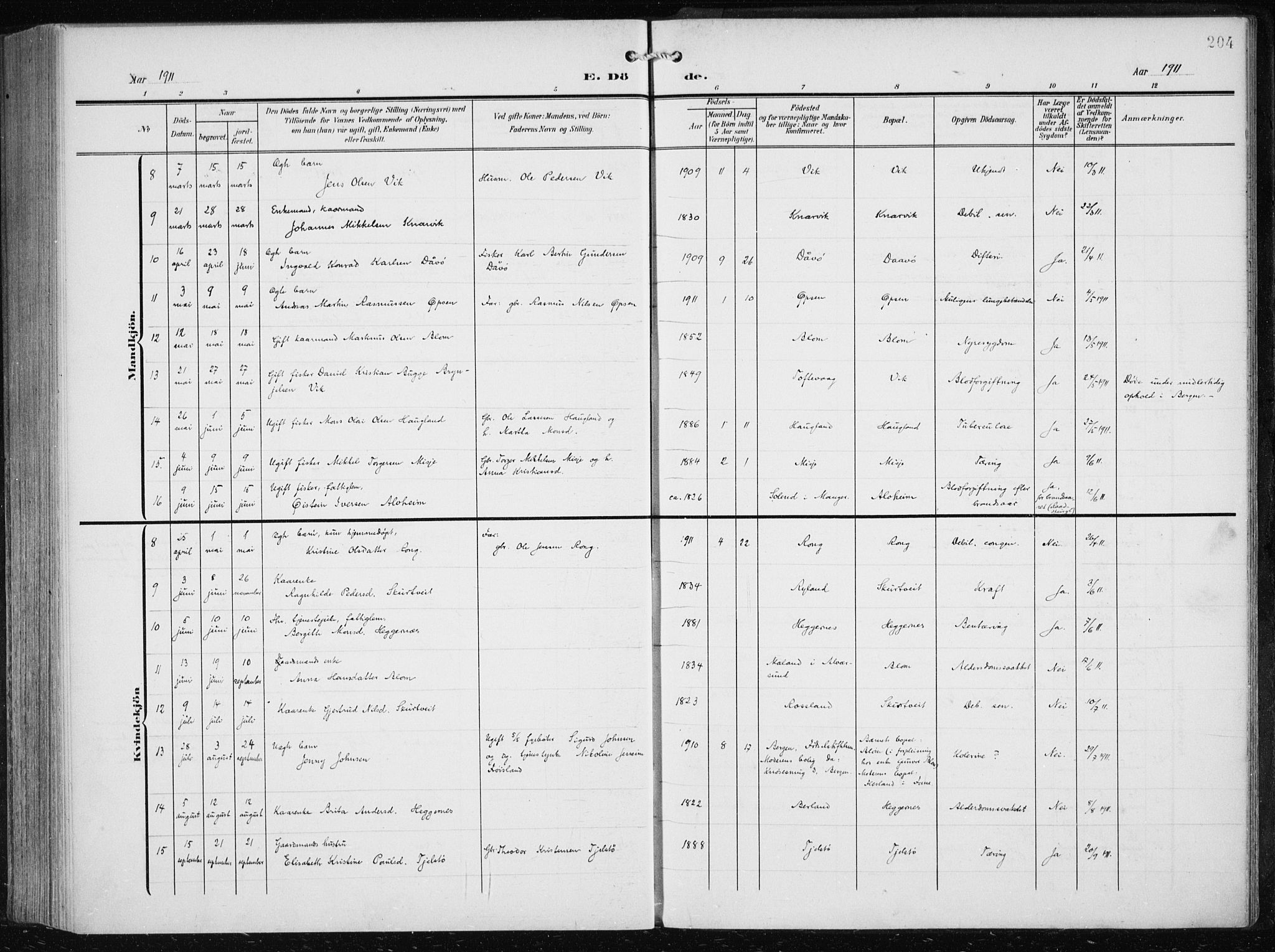 Herdla Sokneprestembete, AV/SAB-A-75701/H/Haa: Parish register (official) no. A 5, 1905-1918, p. 204