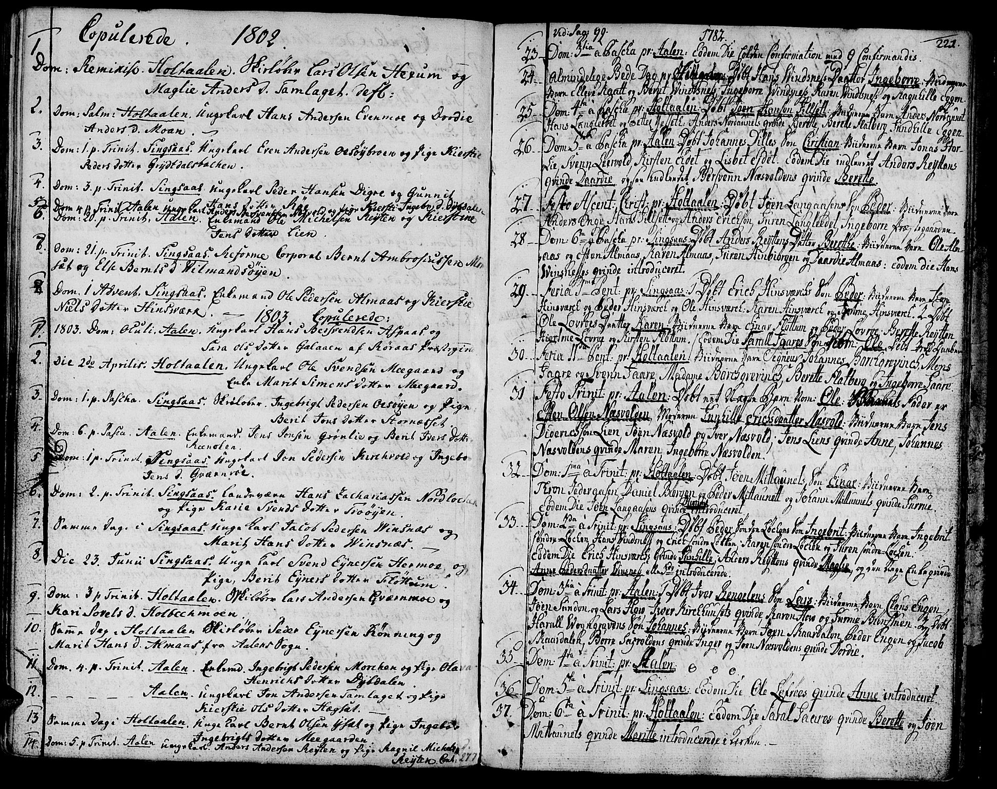 Ministerialprotokoller, klokkerbøker og fødselsregistre - Sør-Trøndelag, SAT/A-1456/685/L0952: Parish register (official) no. 685A01, 1745-1804, p. 221