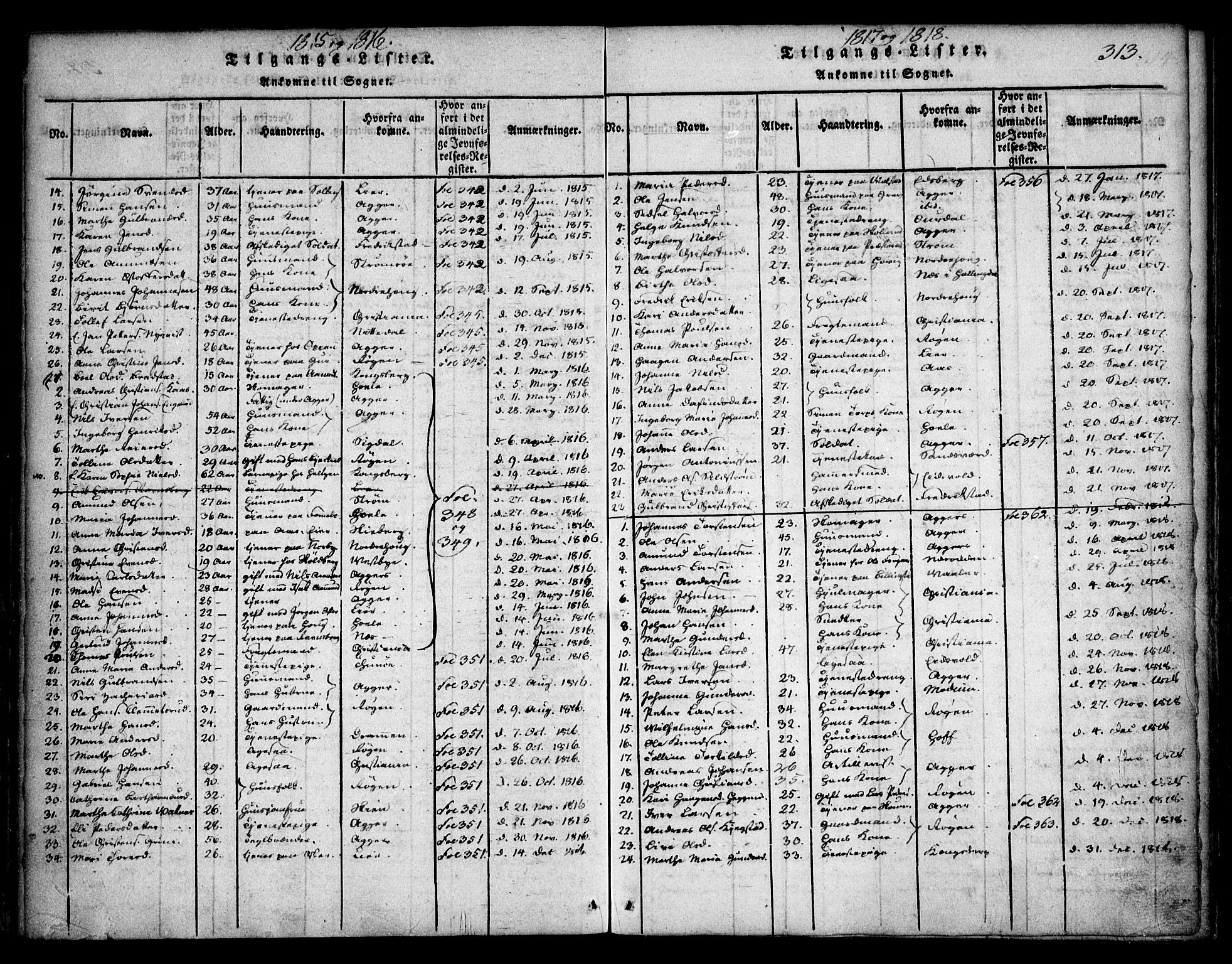 Asker prestekontor Kirkebøker, SAO/A-10256a/F/Fa/L0006: Parish register (official) no. I 6, 1814-1824, p. 313