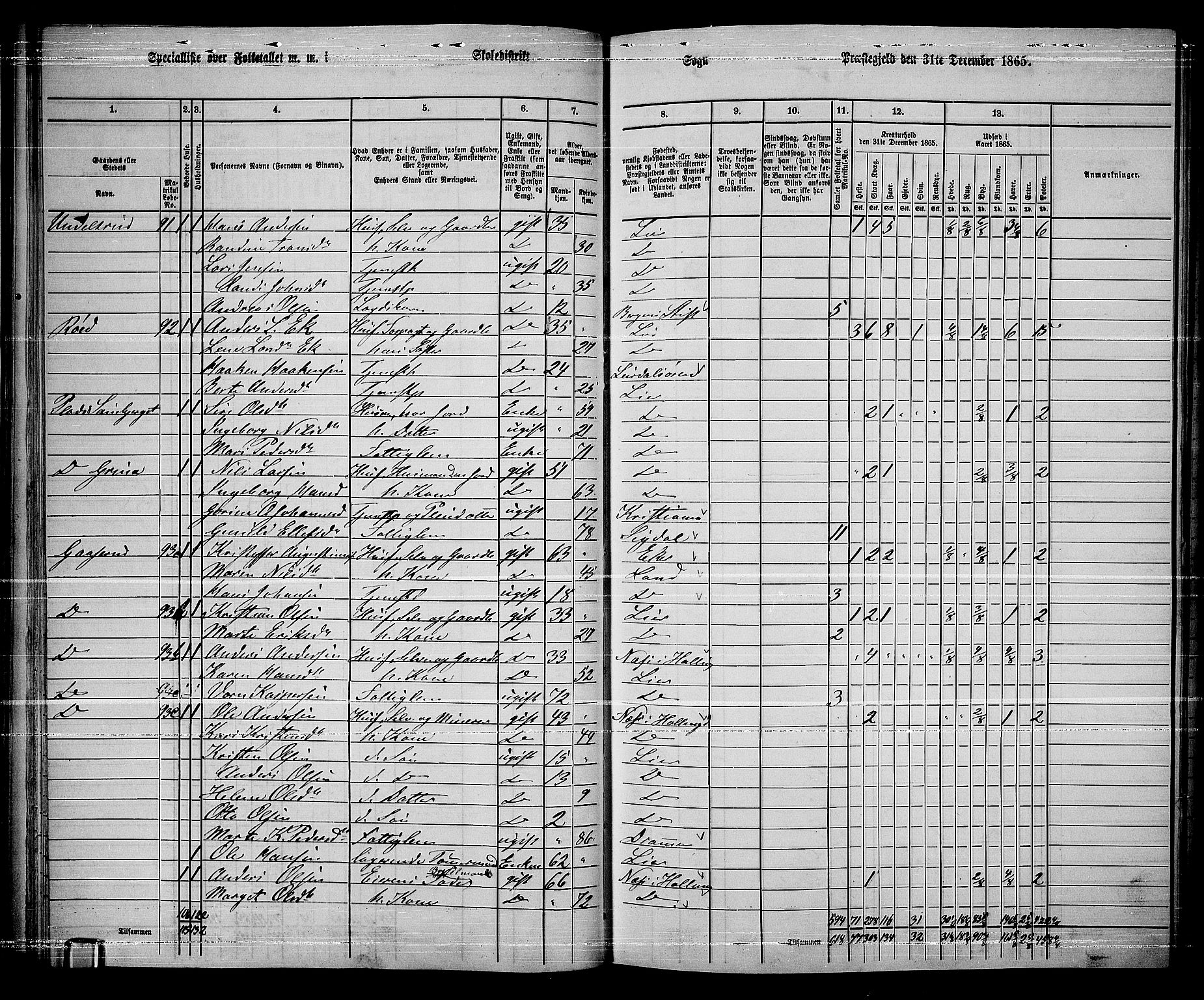RA, 1865 census for Lier, 1865, p. 61