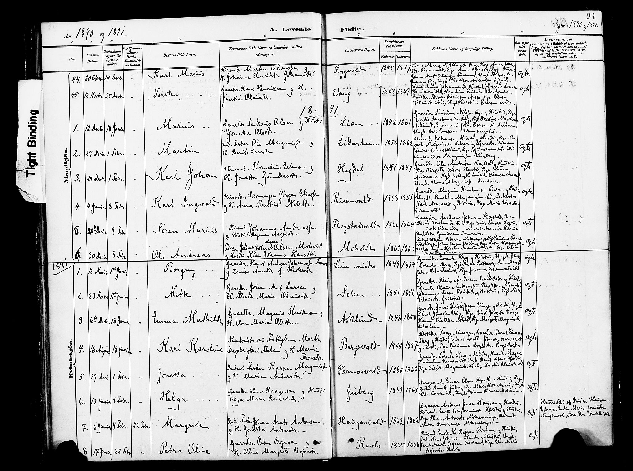 Ministerialprotokoller, klokkerbøker og fødselsregistre - Nord-Trøndelag, SAT/A-1458/713/L0121: Parish register (official) no. 713A10, 1888-1898, p. 24