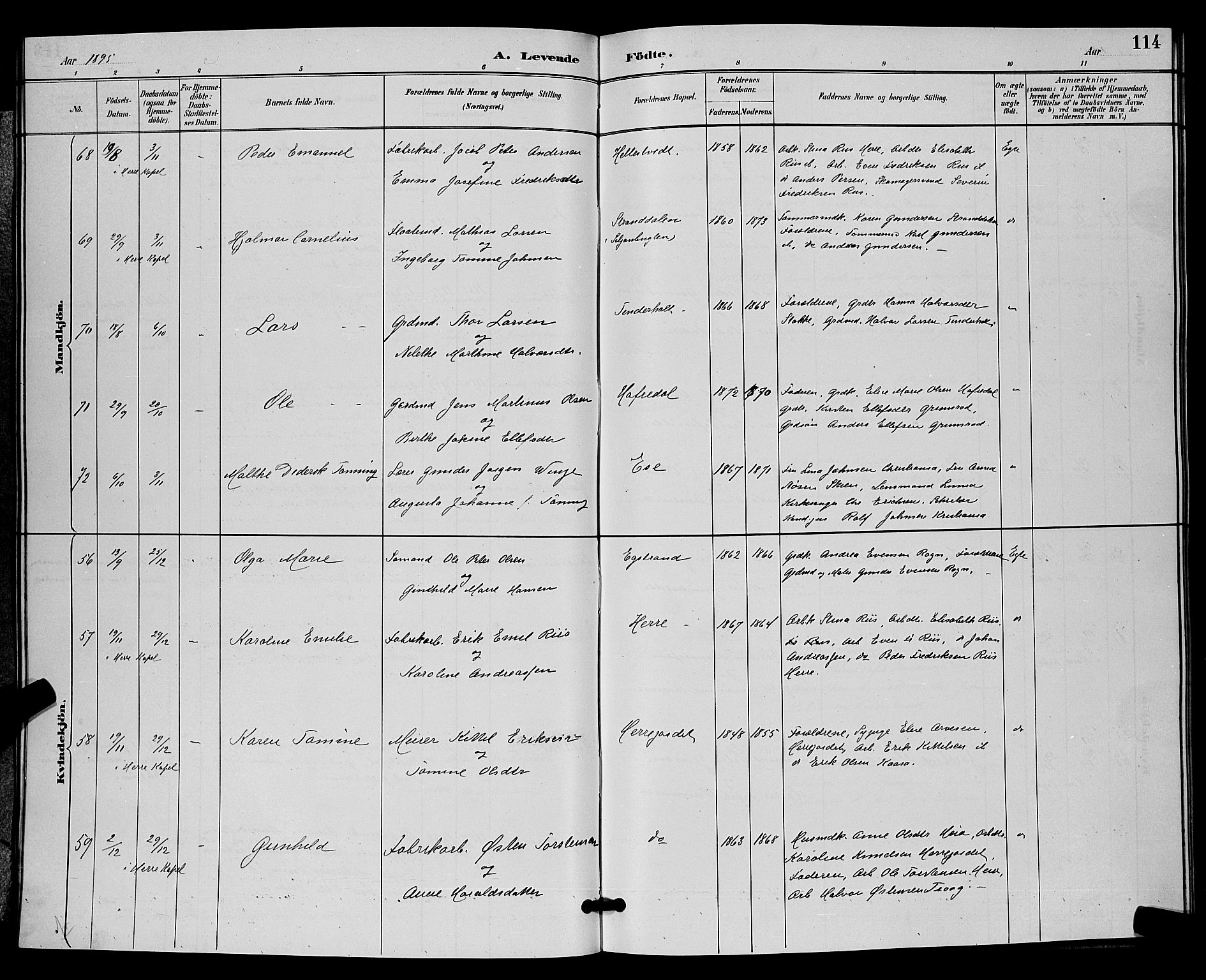 Bamble kirkebøker, SAKO/A-253/G/Ga/L0009: Parish register (copy) no. I 9, 1888-1900, p. 114