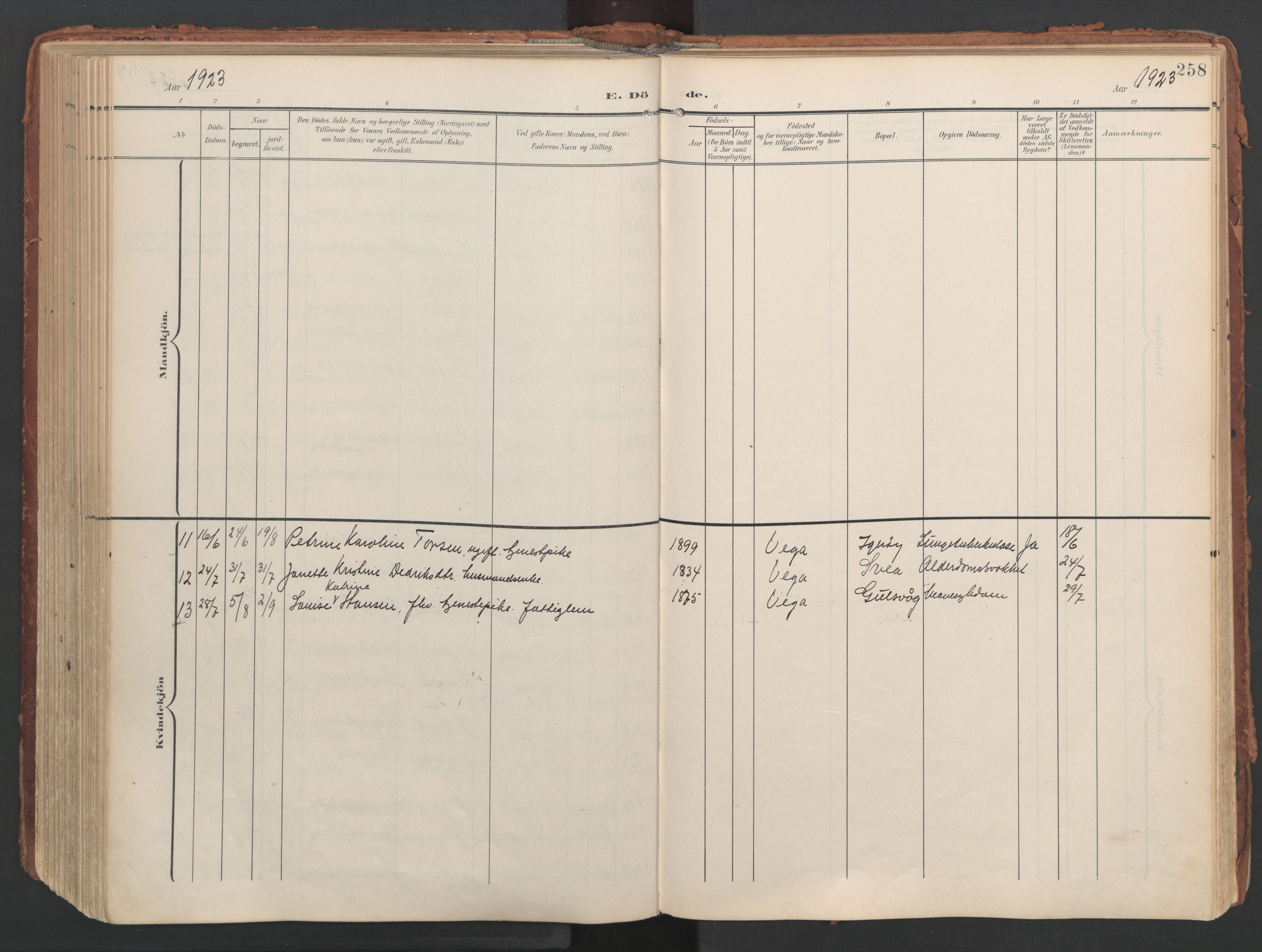 Ministerialprotokoller, klokkerbøker og fødselsregistre - Nordland, AV/SAT-A-1459/816/L0250: Parish register (official) no. 816A16, 1903-1923, p. 258