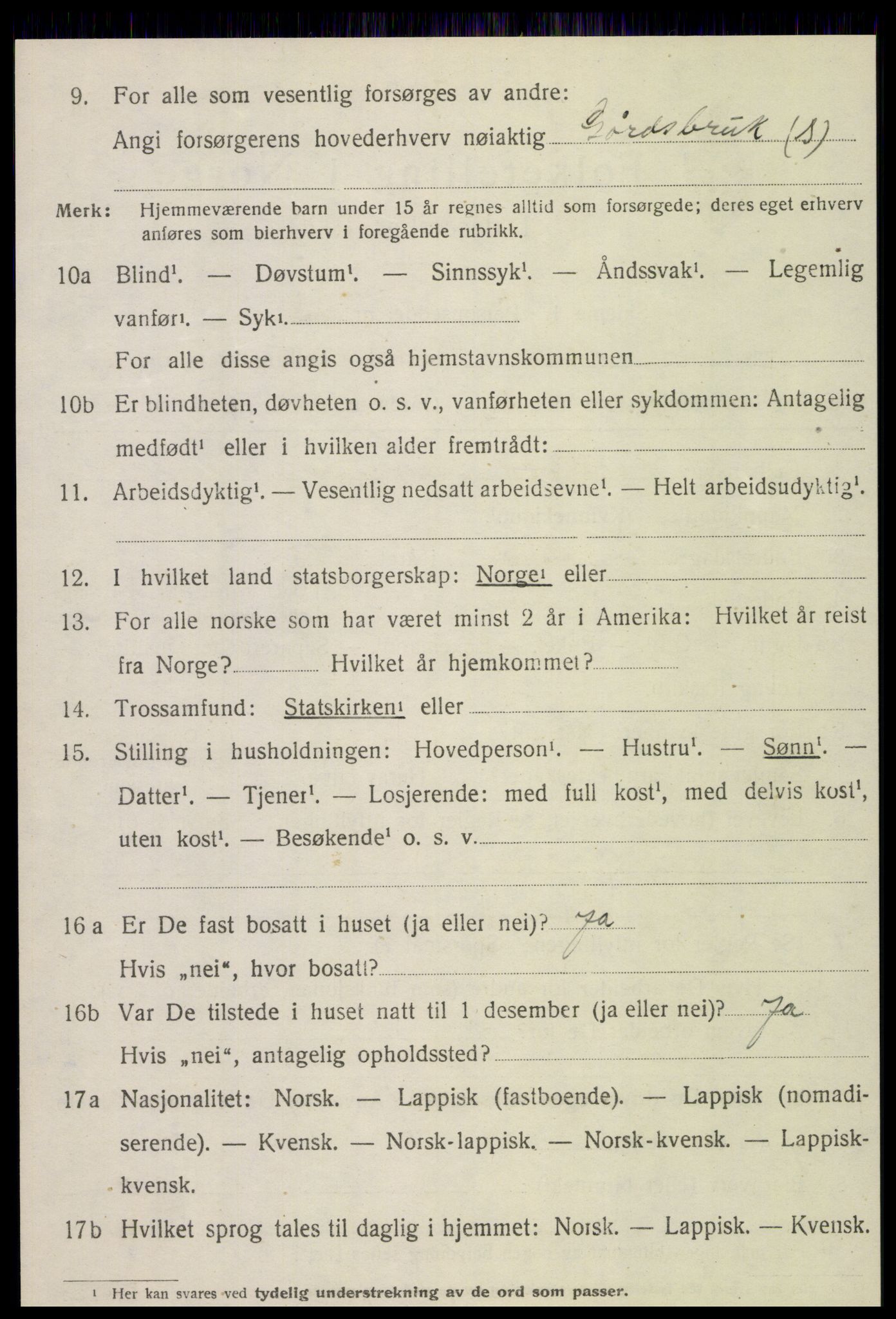 SAT, 1920 census for Sørli, 1920, p. 272