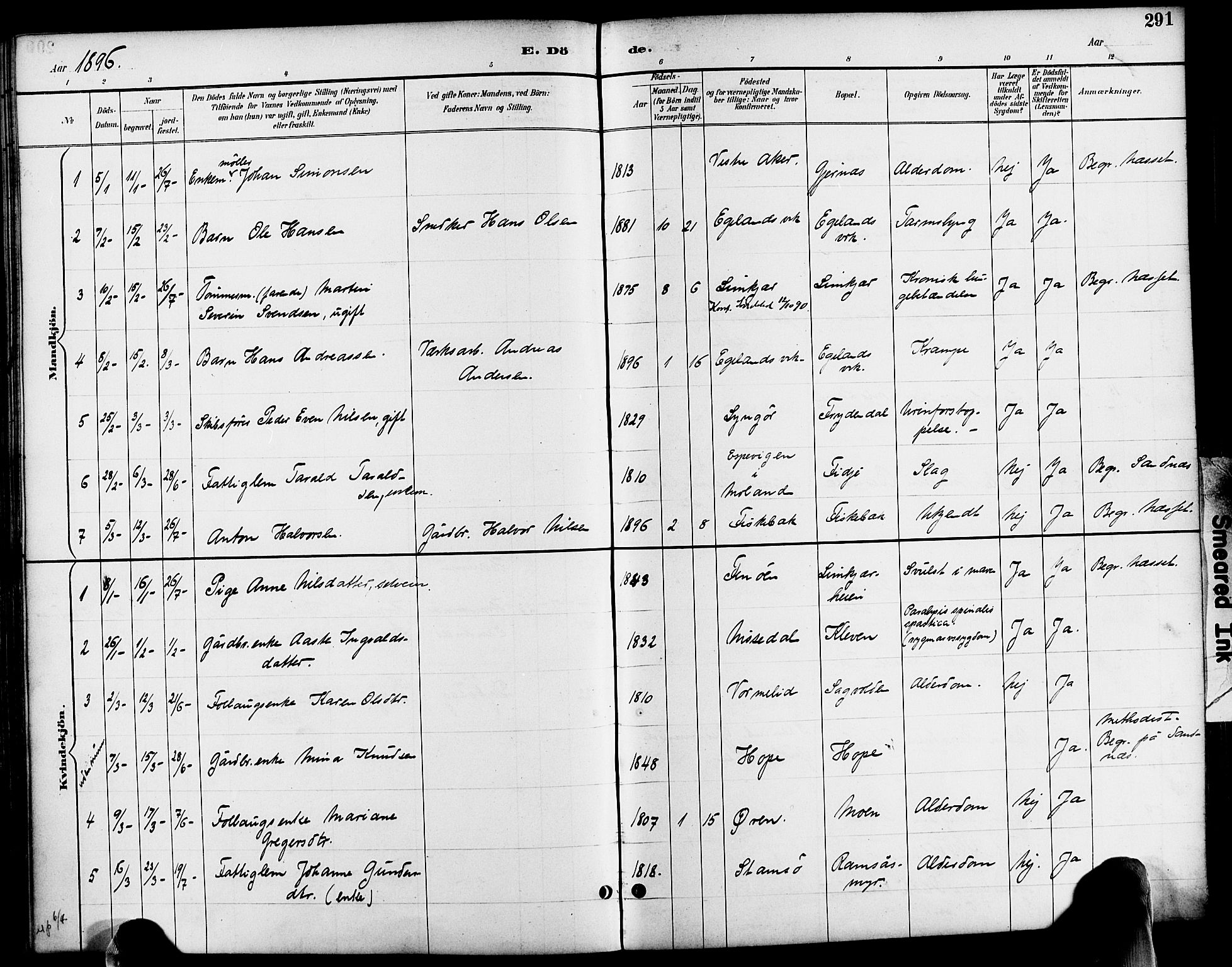 Søndeled sokneprestkontor, SAK/1111-0038/F/Fa/L0005: Parish register (official) no. A 5, 1889-1899, p. 291
