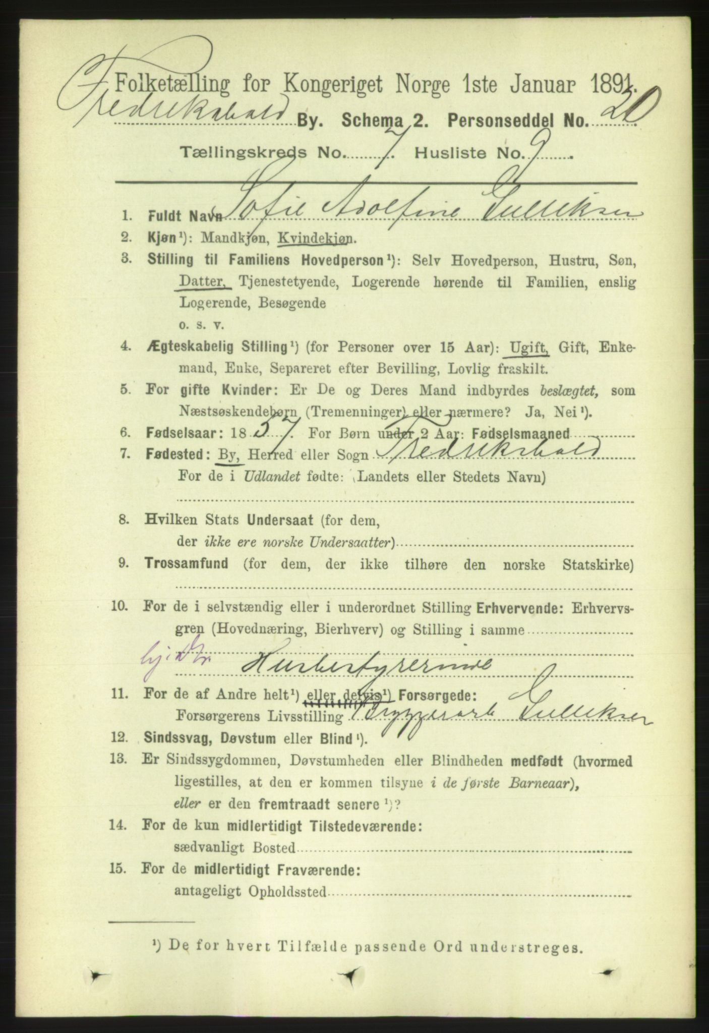 RA, 1891 census for 0101 Fredrikshald, 1891, p. 5115