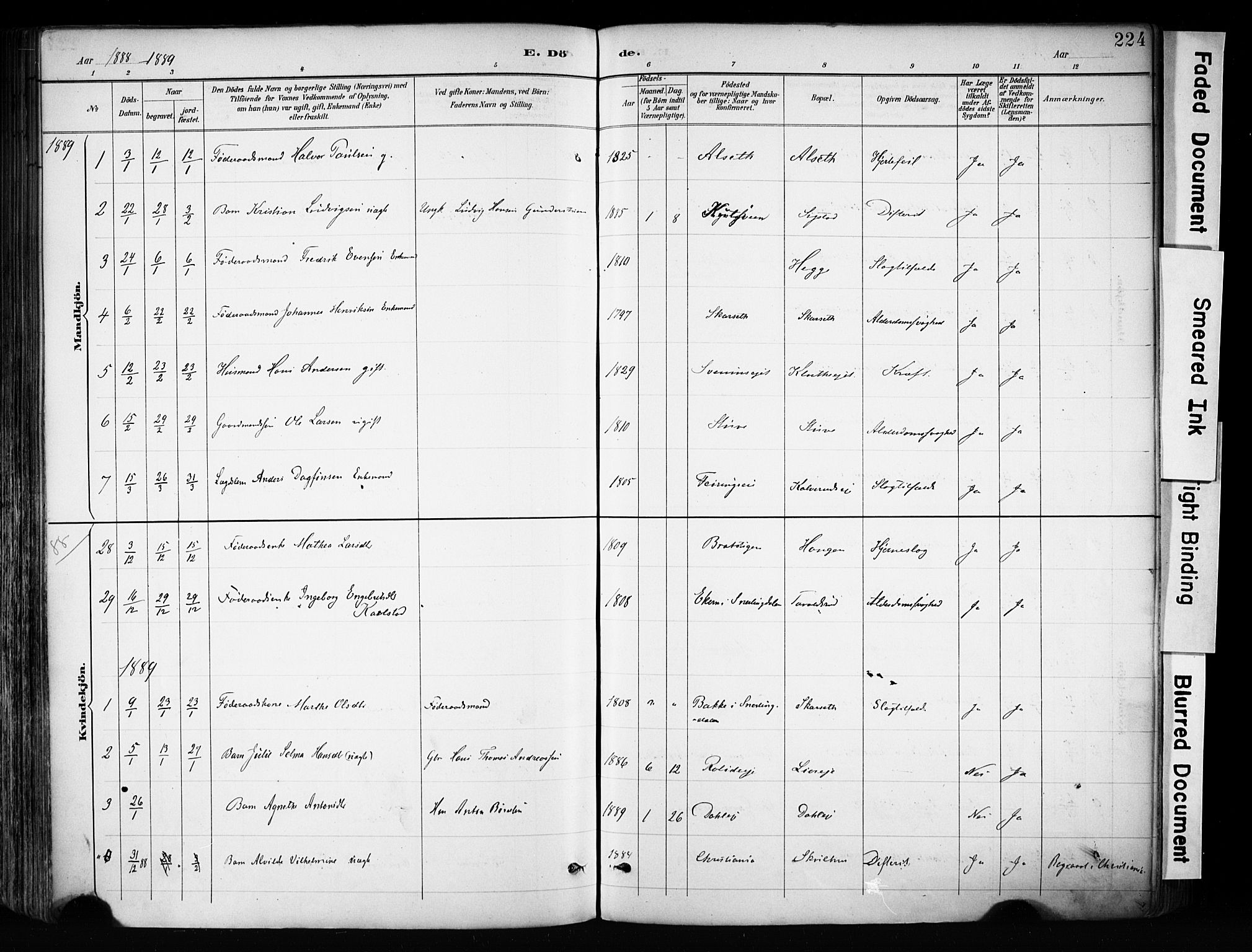 Biri prestekontor, SAH/PREST-096/H/Ha/Haa/L0009: Parish register (official) no. 9, 1887-1900, p. 224