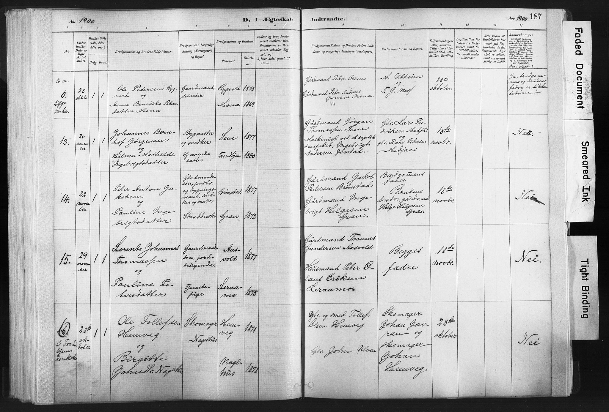 Ministerialprotokoller, klokkerbøker og fødselsregistre - Nord-Trøndelag, AV/SAT-A-1458/749/L0474: Parish register (official) no. 749A08, 1887-1903, p. 187